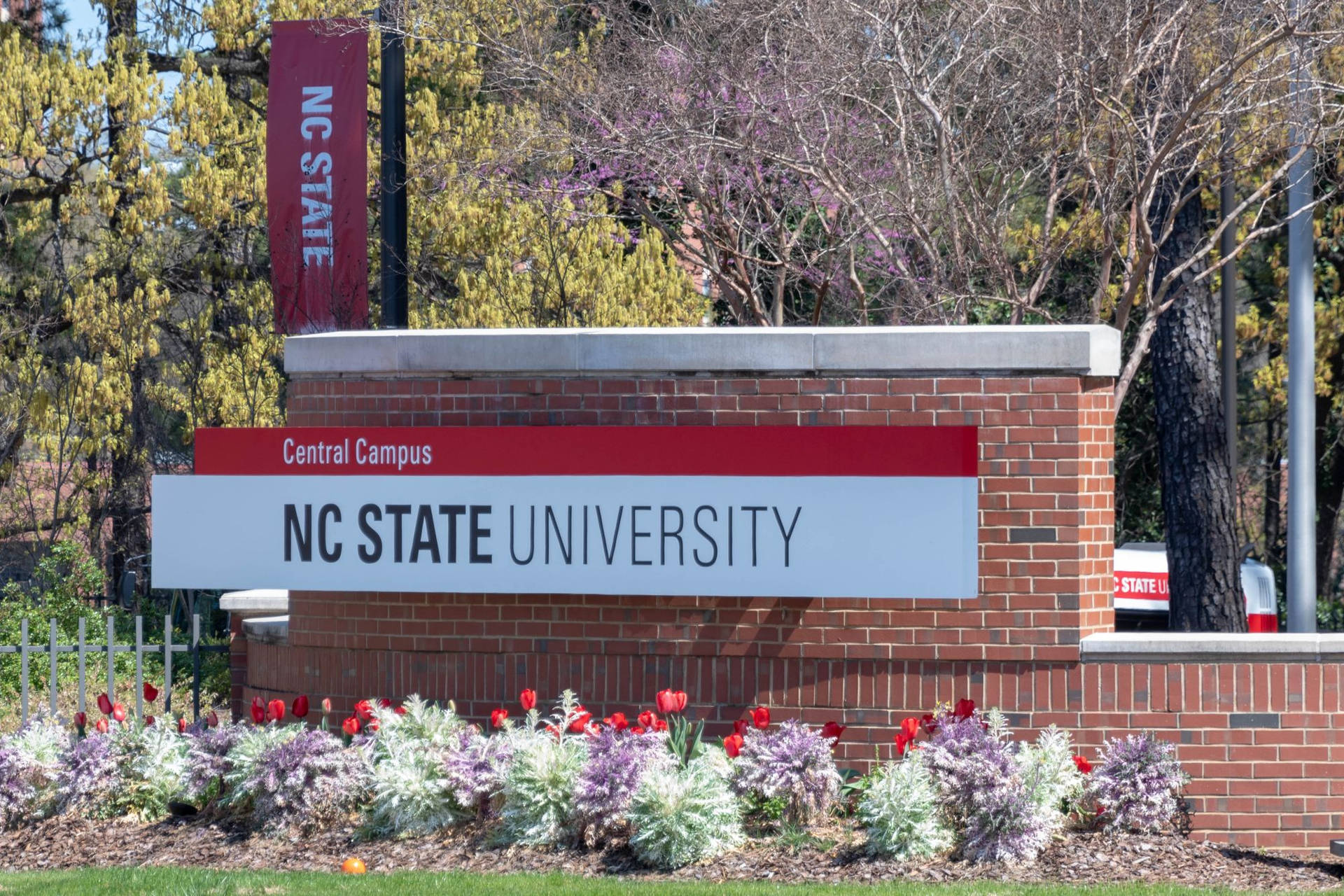 North Carolina State University Central Campus Sign Background