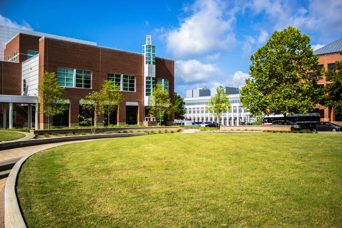 North Carolina State University Grassy Field Background