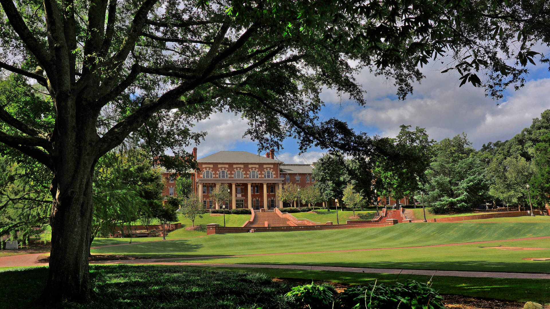 North Carolina State University Green Space Background