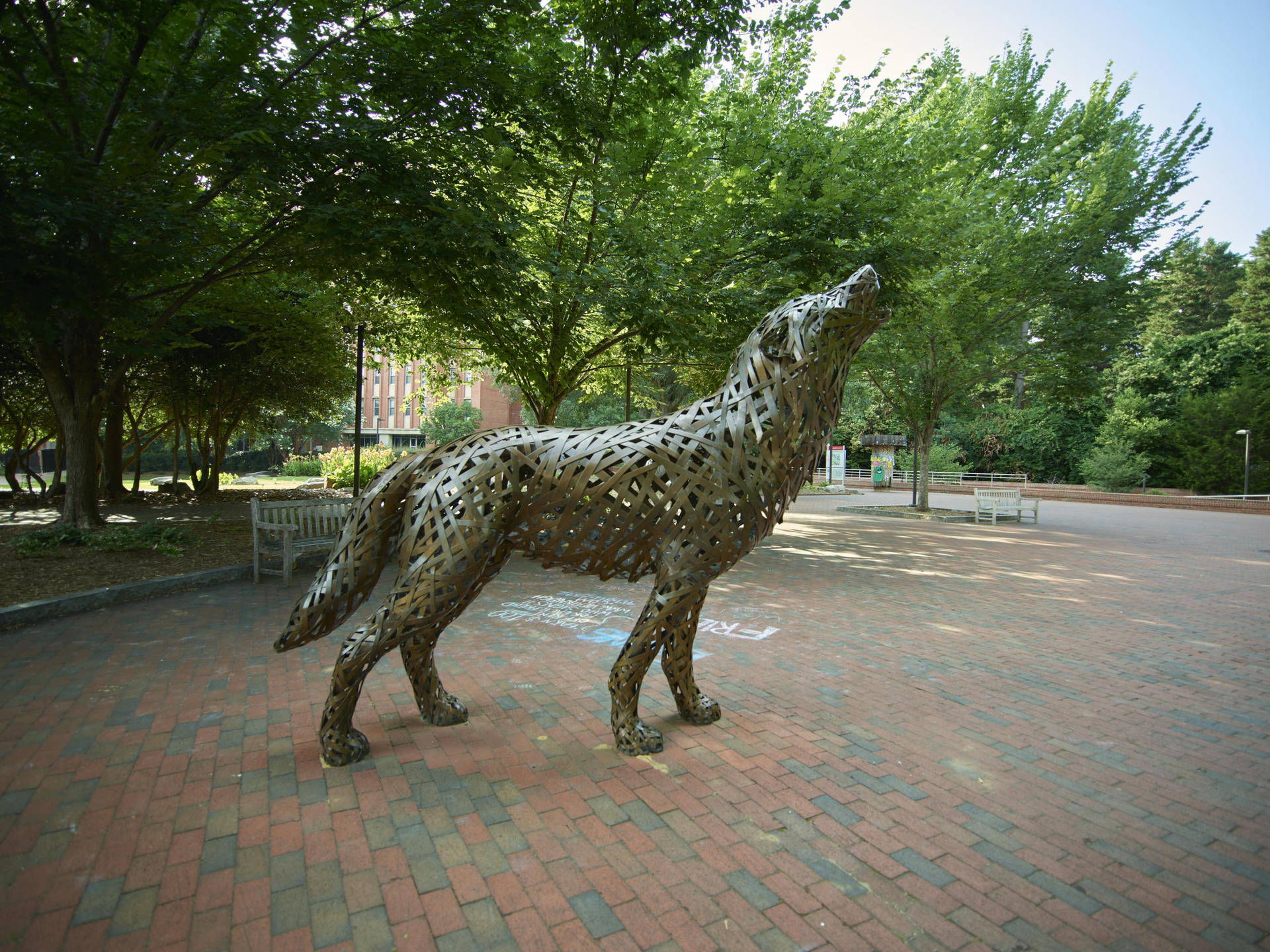 North Carolina State University Howling Wolf Sculpture Background