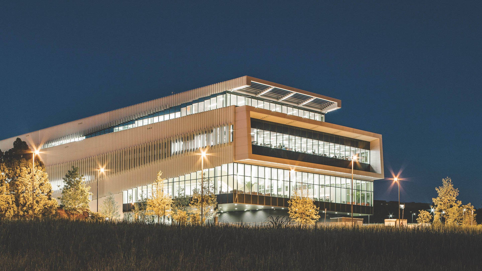 North Carolina State University Library Background