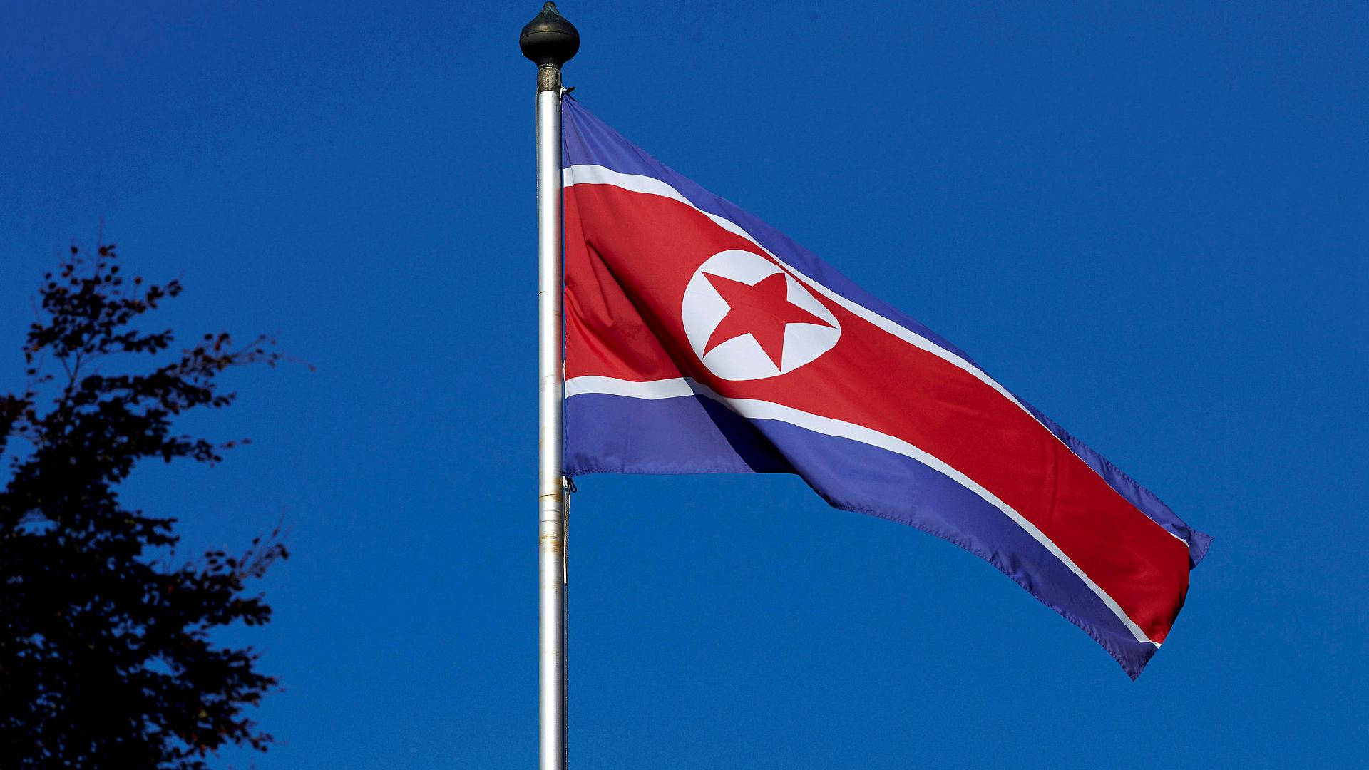 North Korea Flag With Tree Behind Background