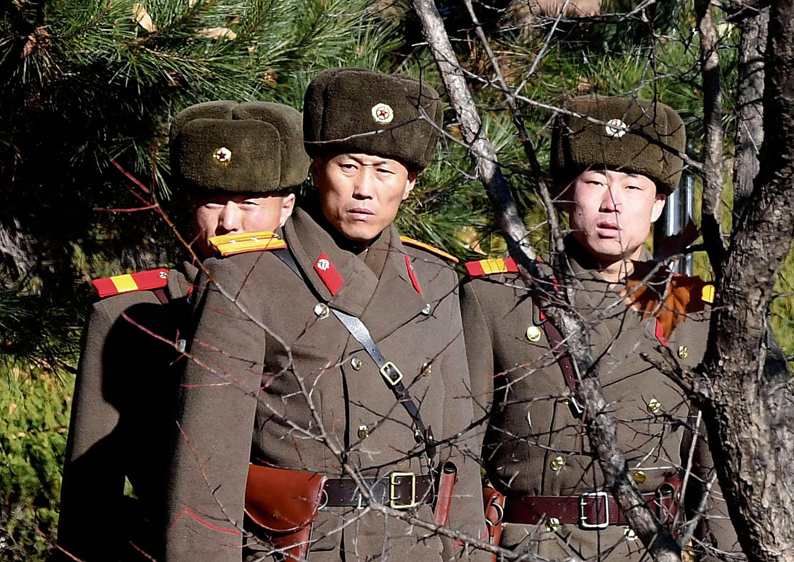 North Korea Soldiers Behind Bare Tree Background