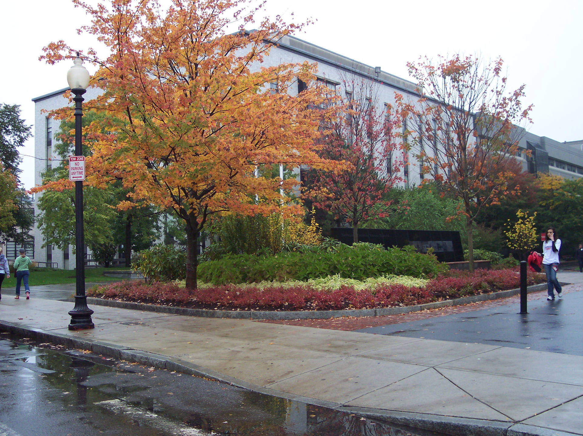 Northeastern University Building Background