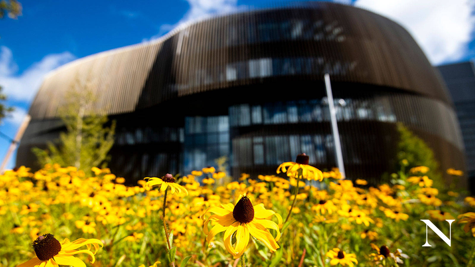 Northeastern University Engineering Facade Background