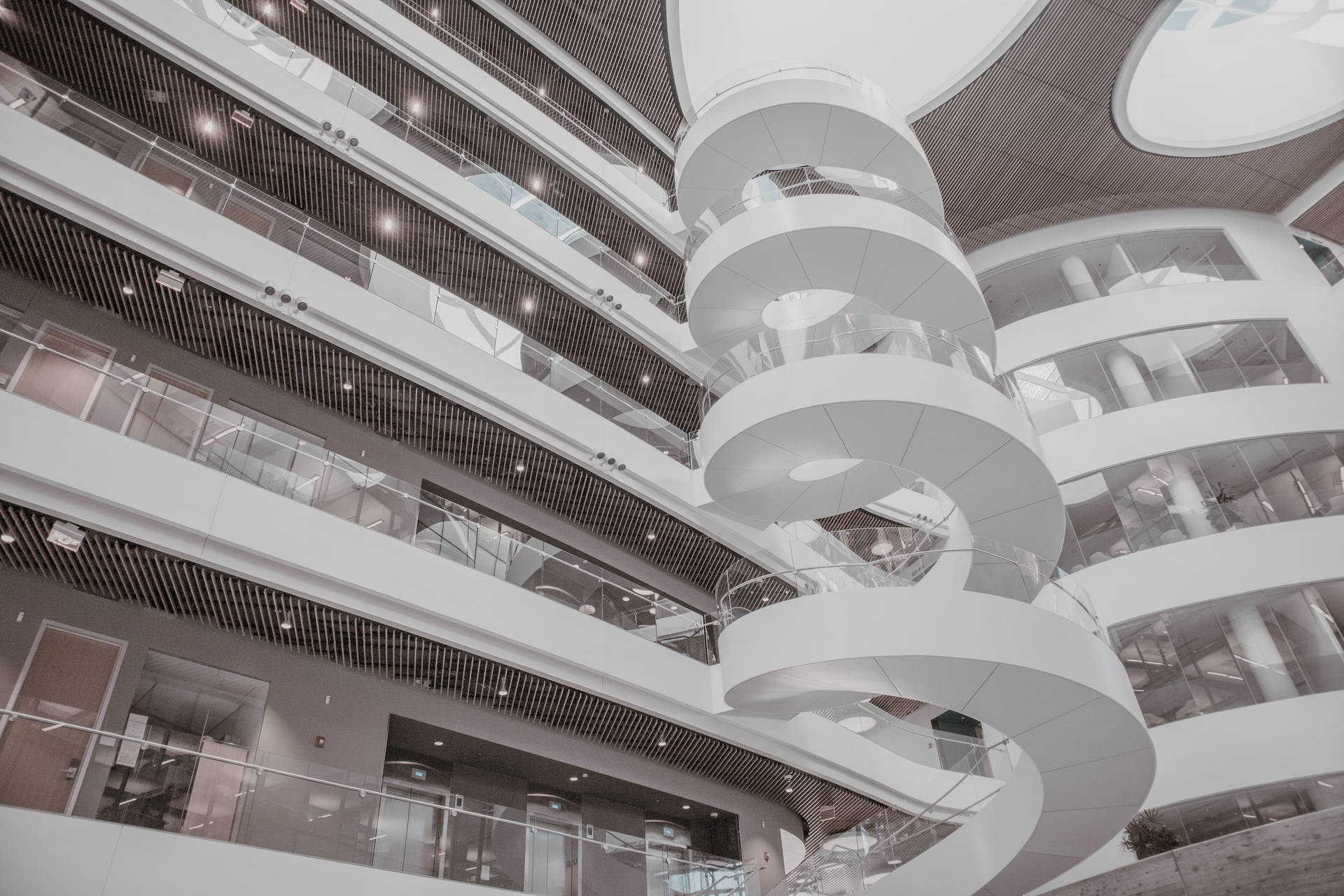 Northeastern University Spiral Staircase Background