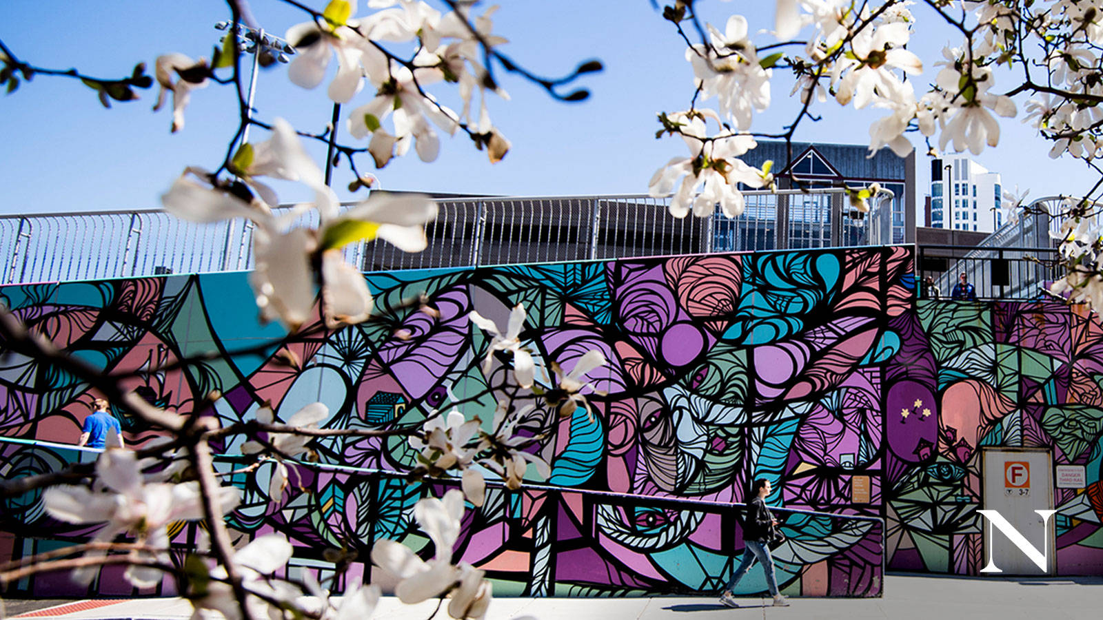 Northeastern University Wall Graffiti Background