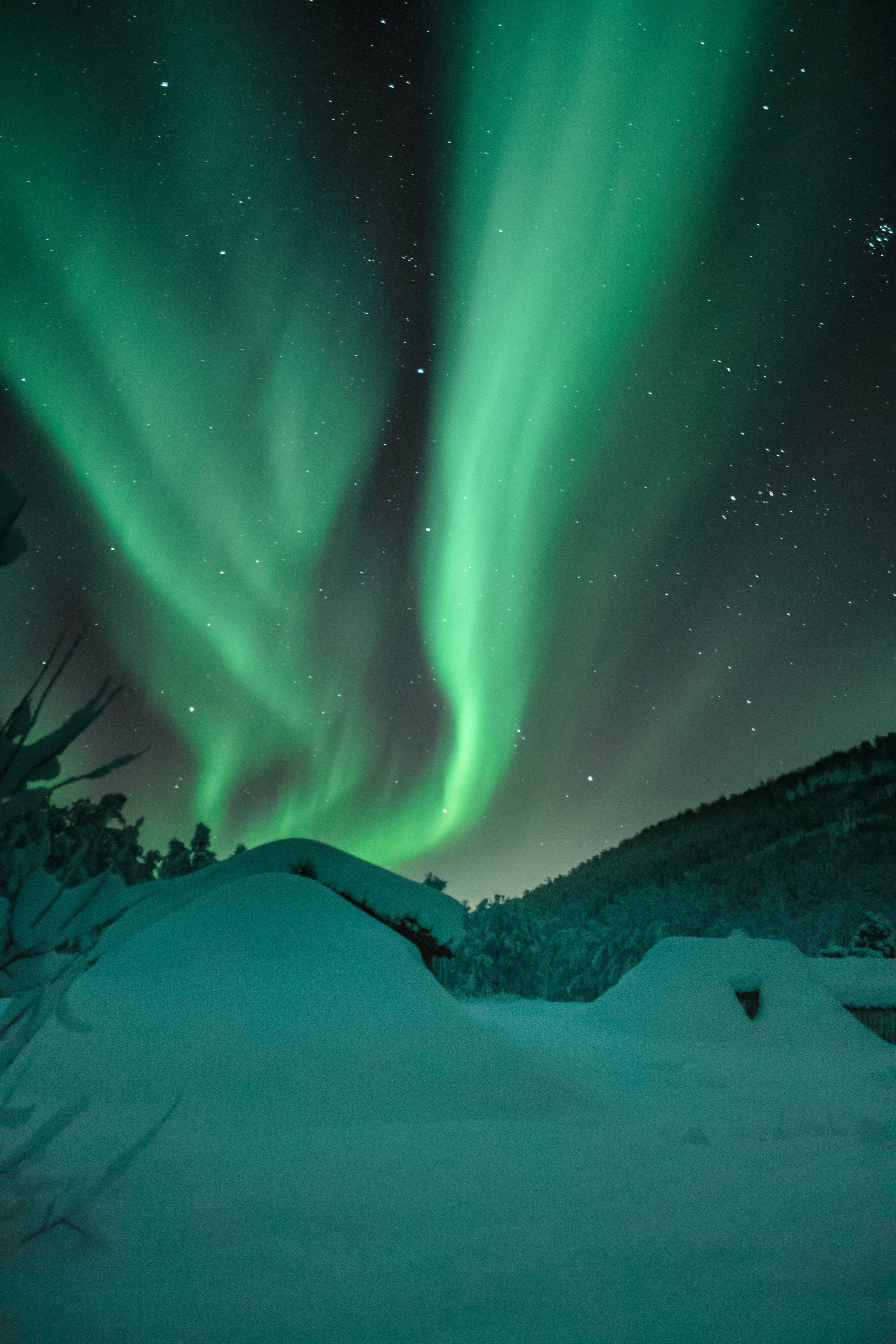 Northern Lights Winter Scenery Background
