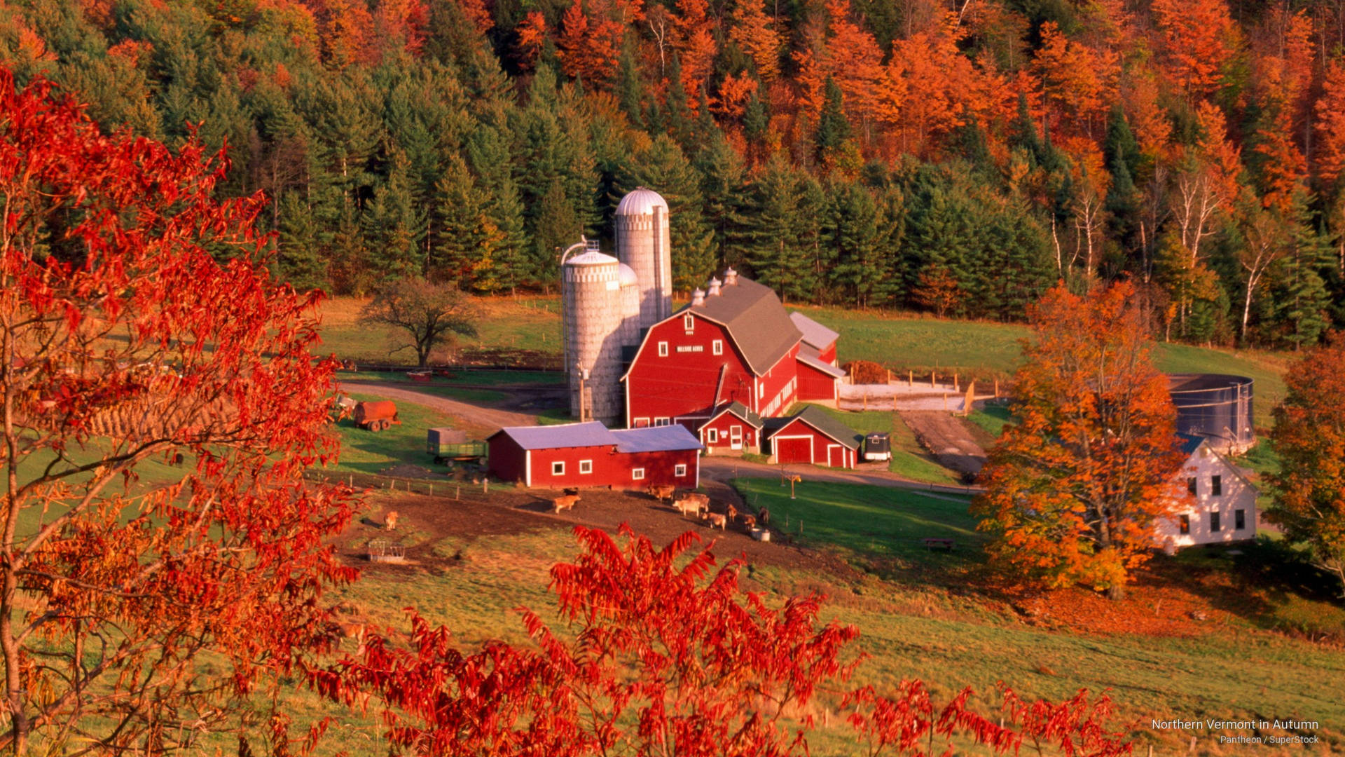 Northern Vermont In Autumn Background