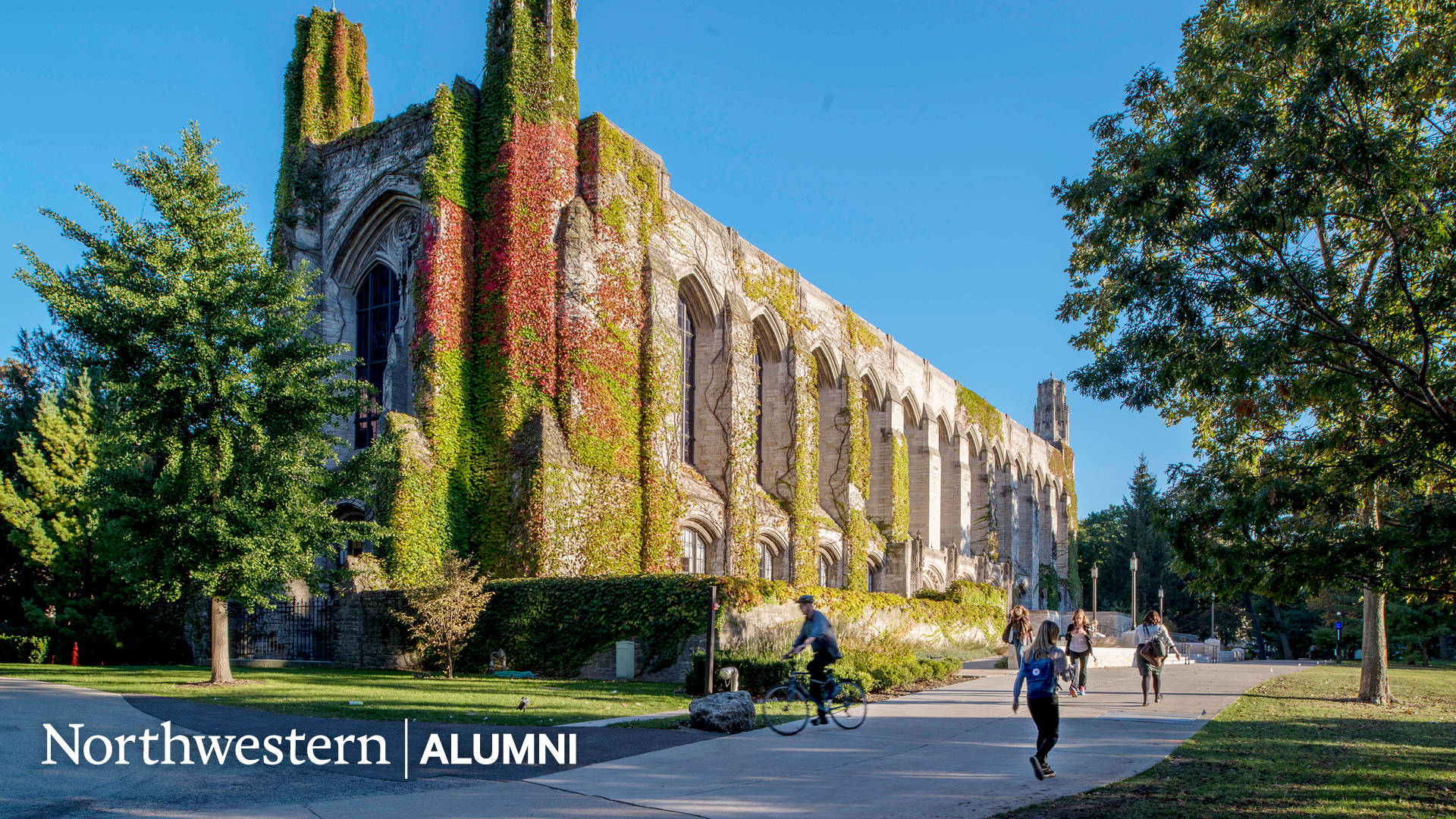 Northwestern University Library At Dusk