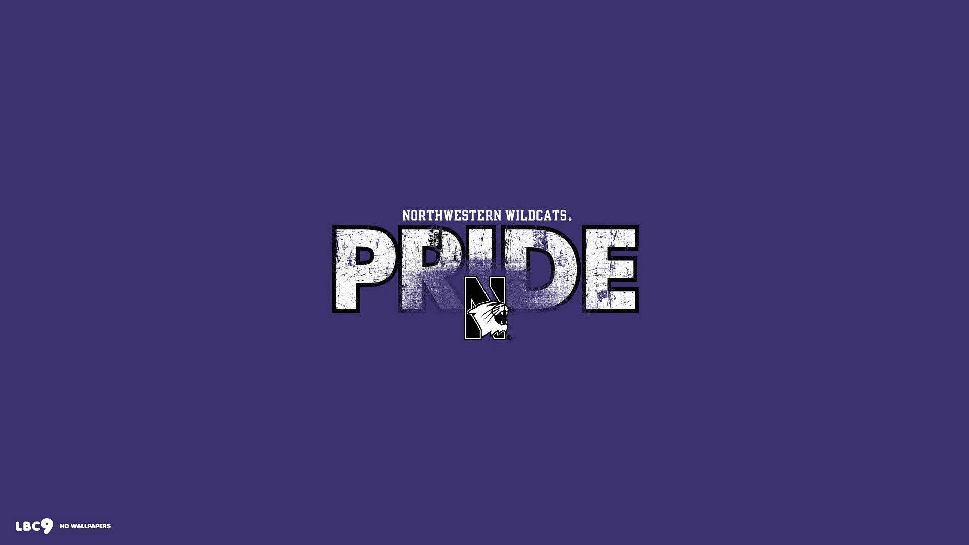 Northwestern University Pride Background