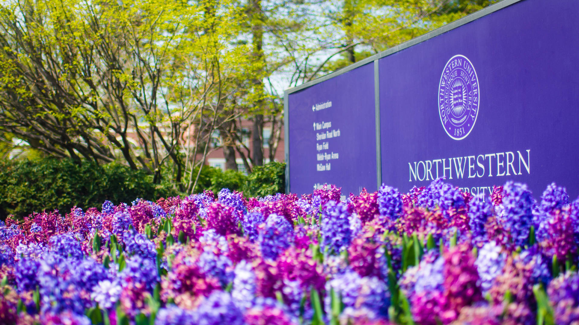 Northwestern University Sign And Flowers Background