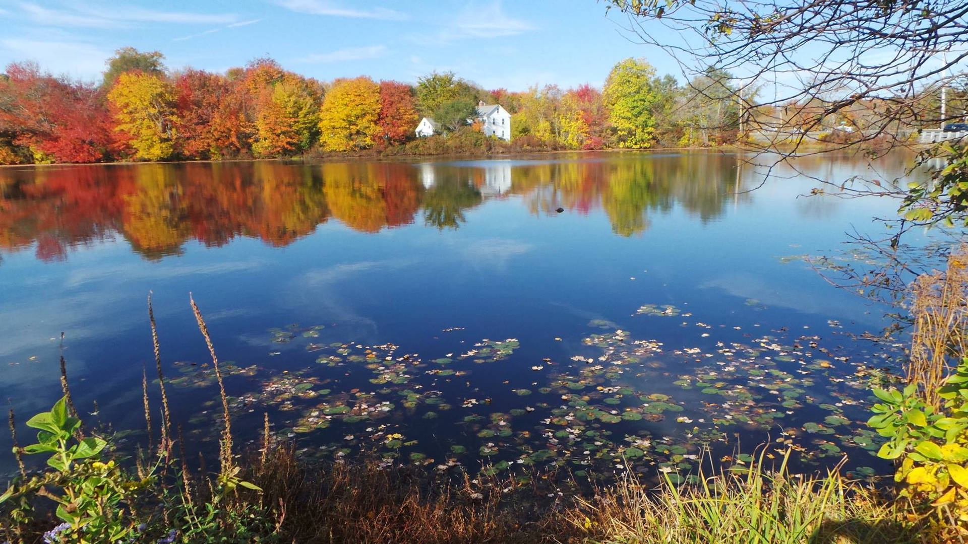 Norton Reservoir Massachusetts Background