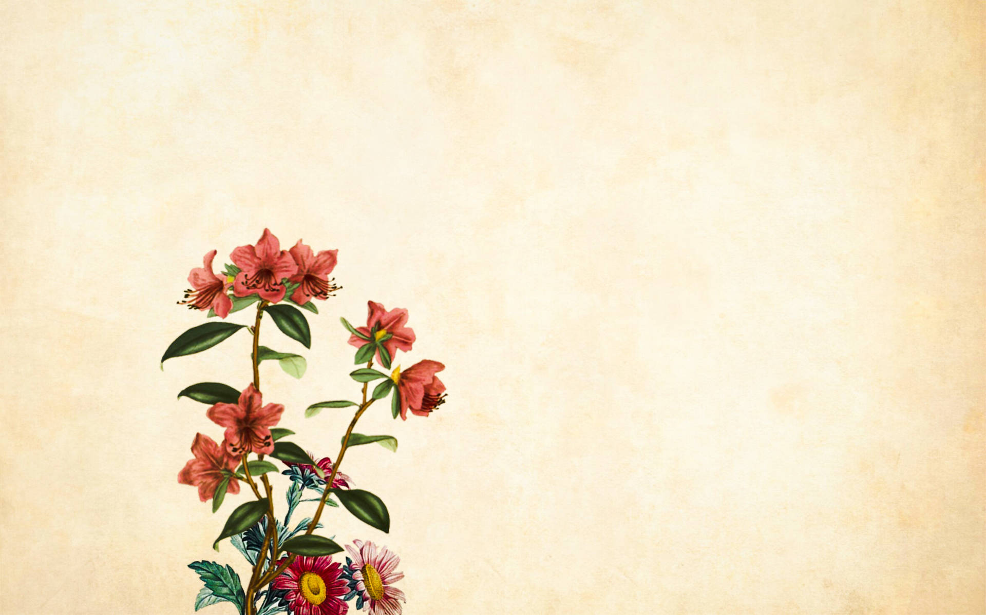 Nostalgic Flower Painting Background