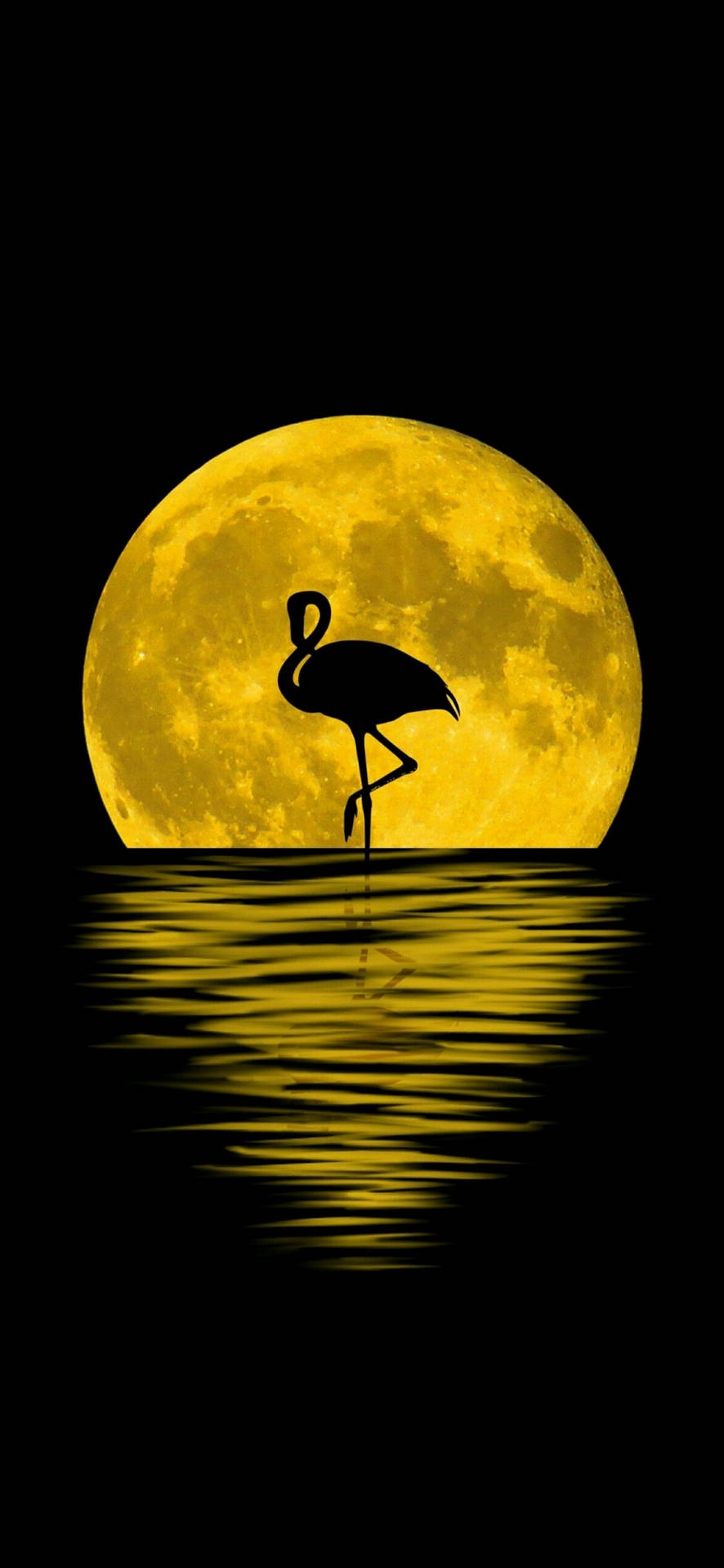 Note 10 Plus Flamingo Moon Background