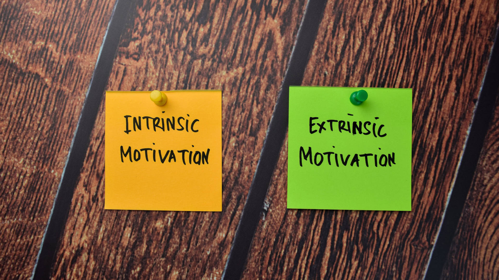 Notes On Intrinsic Vs Extrinsic Motivation