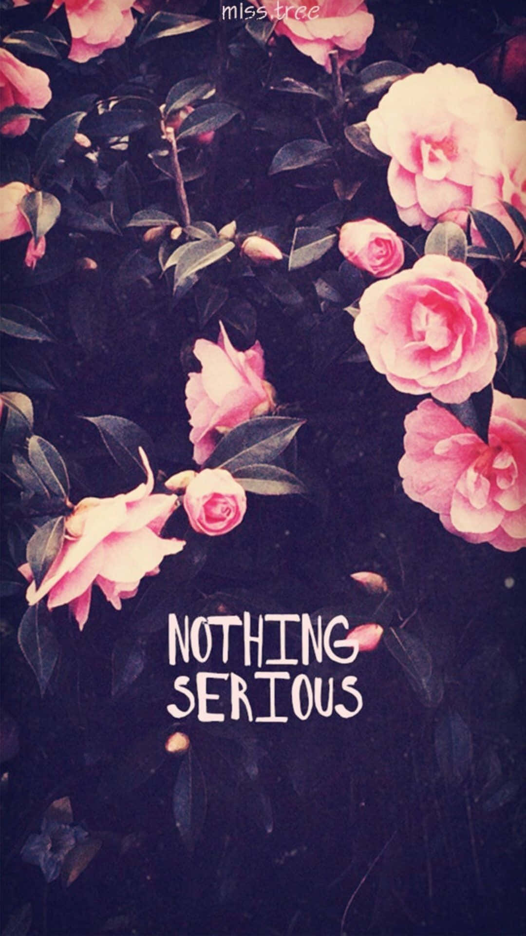 Nothing Serious With Pink Flowers Background
