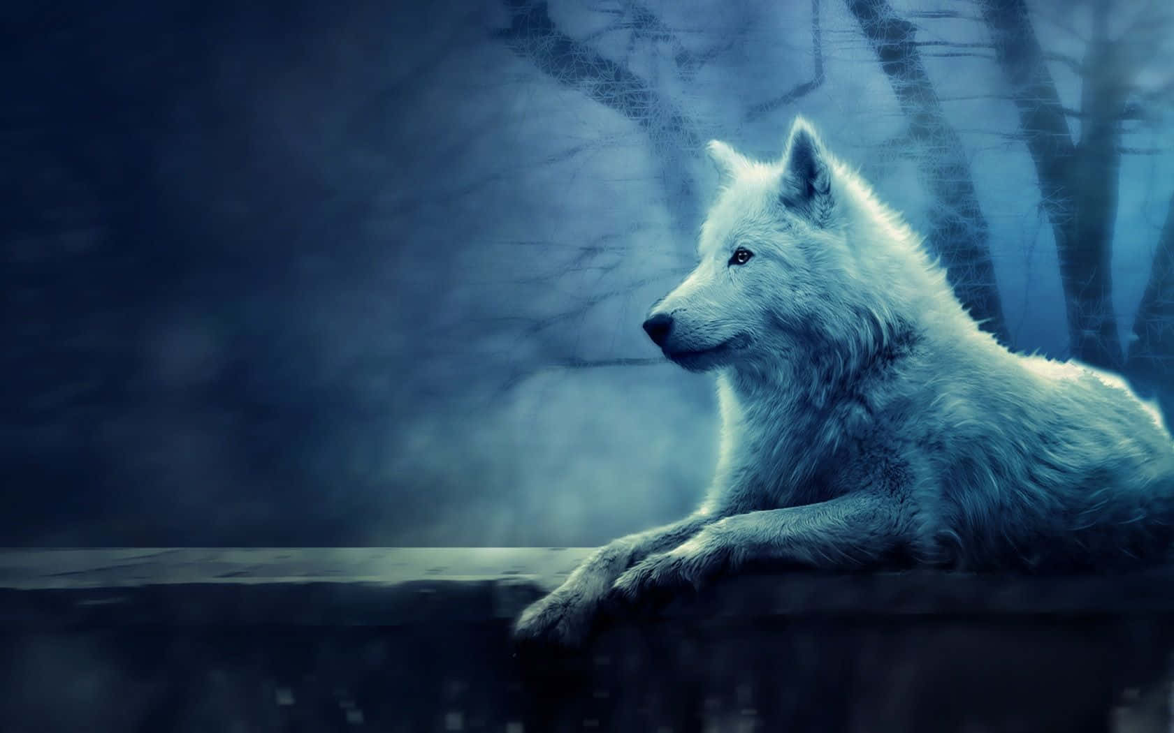 Nothing Tames A Mystical Wolf Background