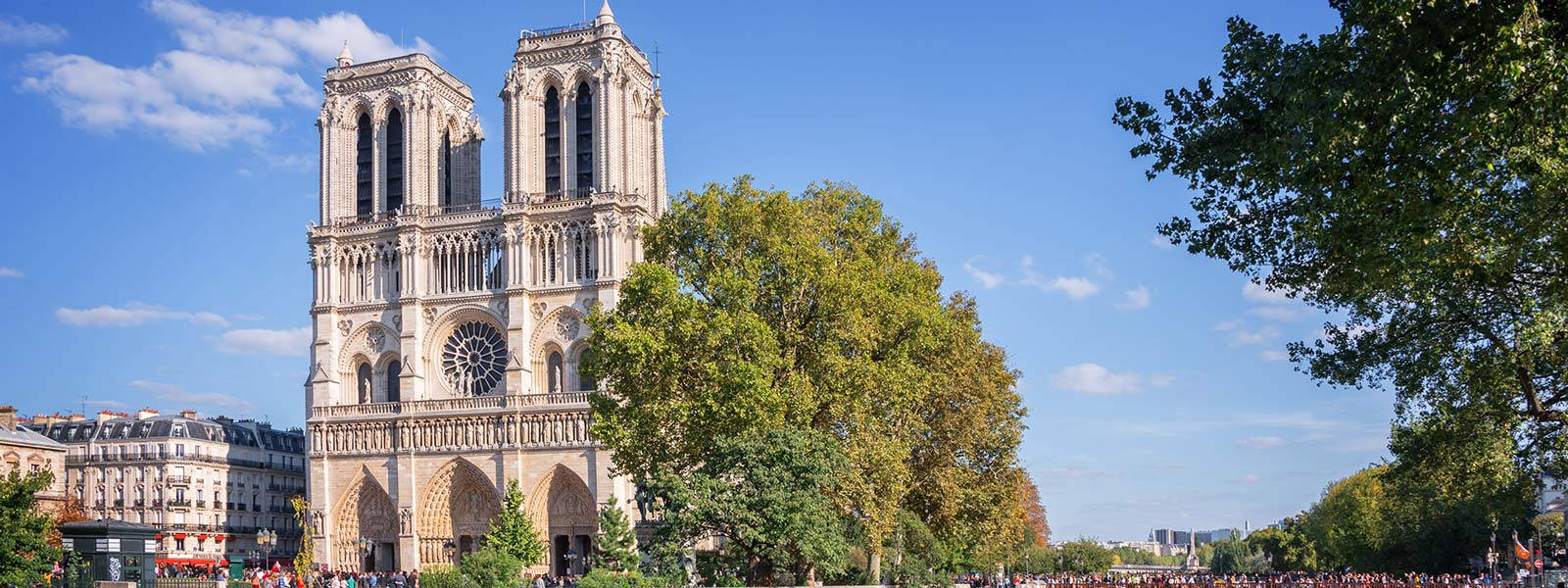 Notre Dame And Trees Background