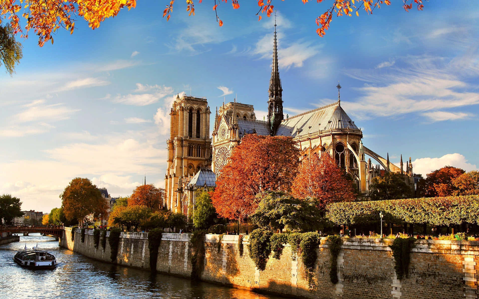 Notre Dame Cathedral During Autumn Background