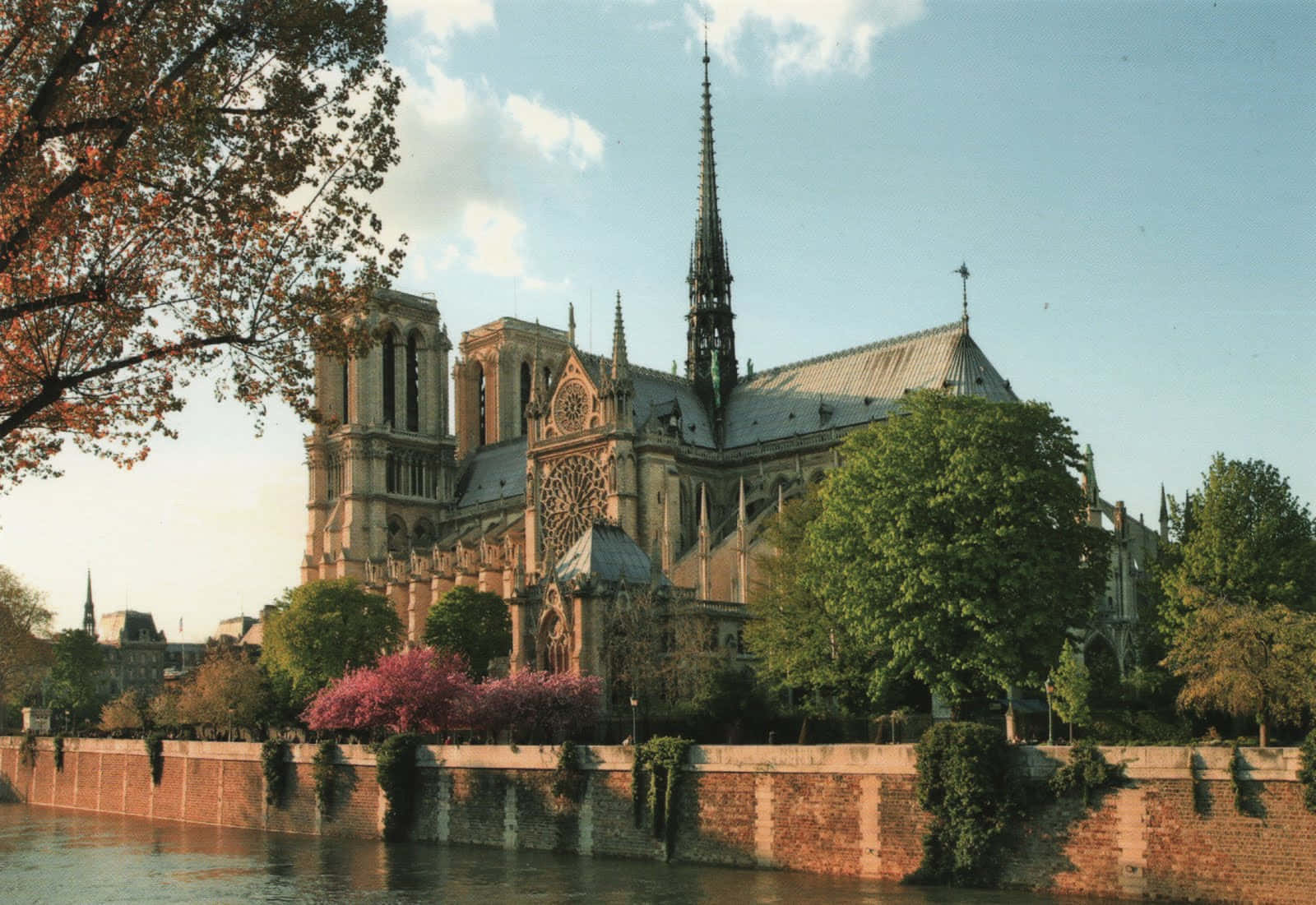 Notre Dame Cathedral During Spring Background