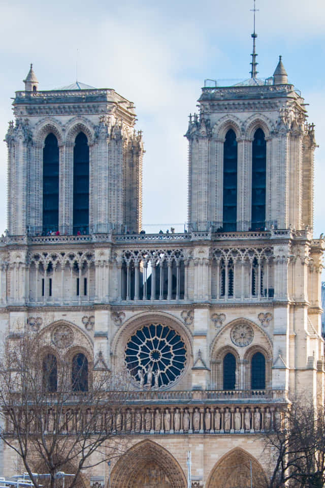 Notre Dame Cathedral Front View Background