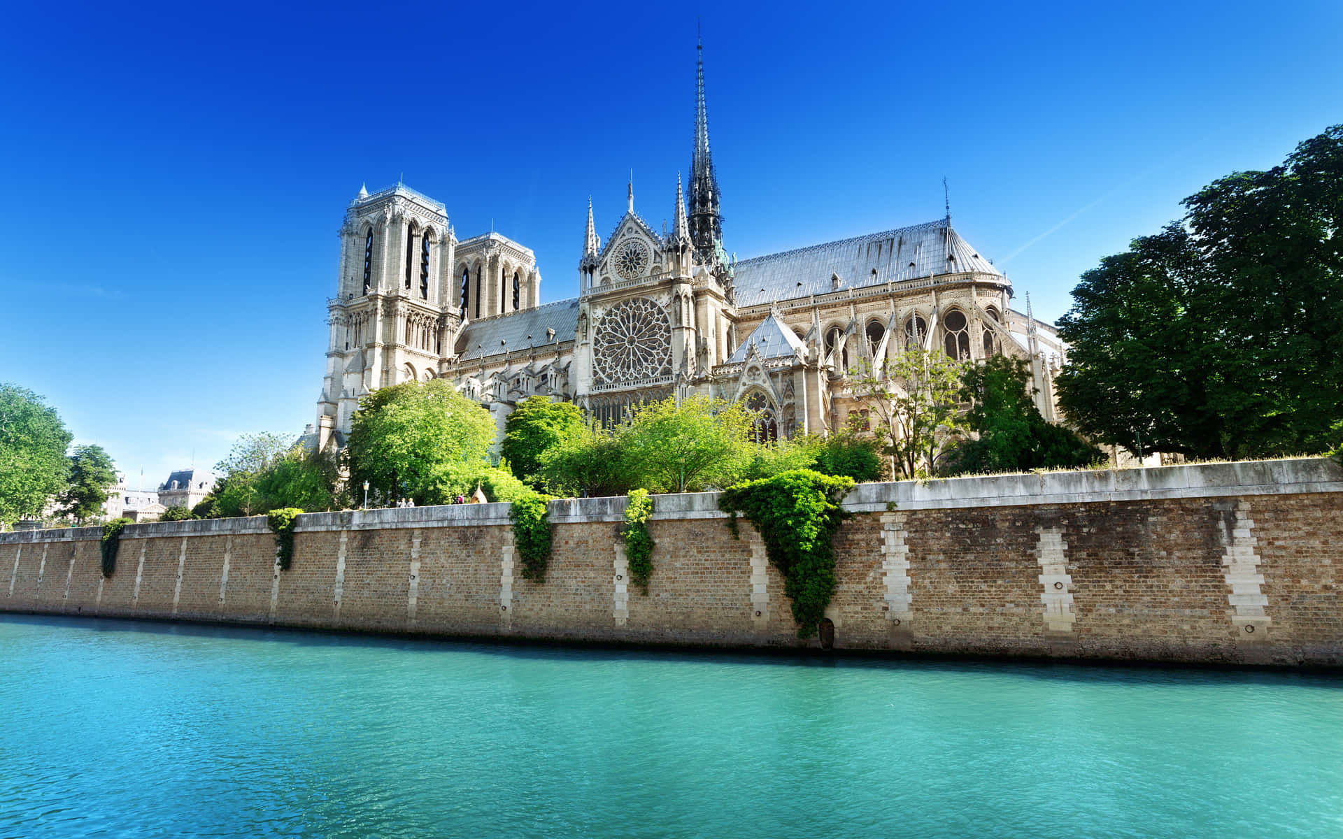 Notre Dame Cathedral In Broad Daylight Background