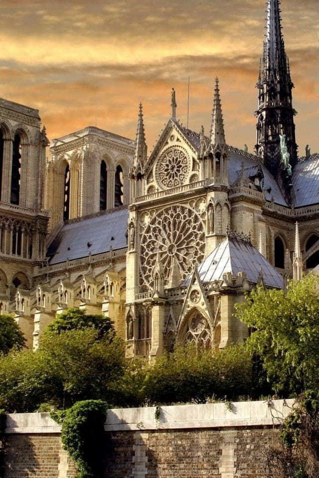 Notre Dame Cathedral North Rose Window Background