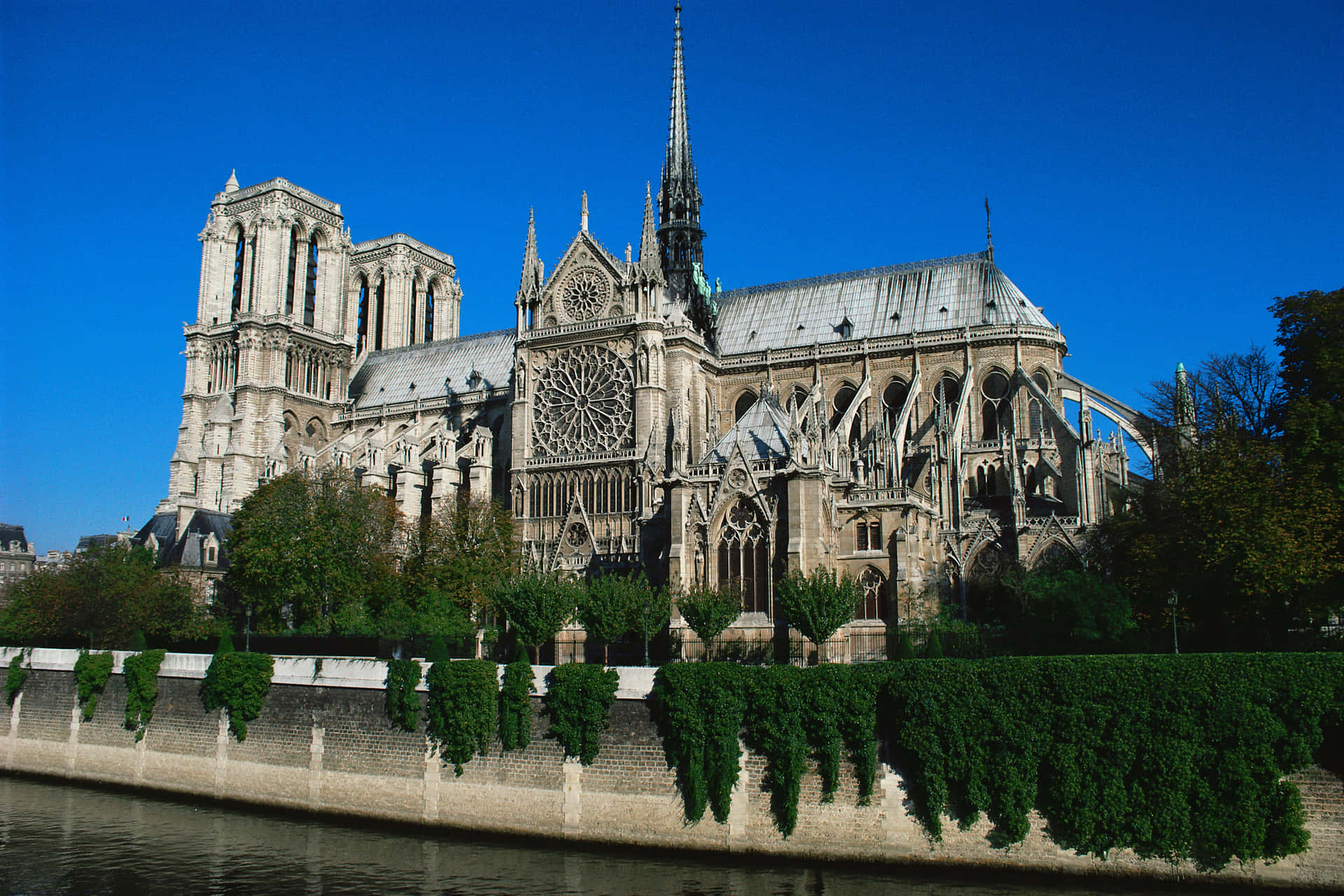 Notre Dame Cathedral With Walls Covered In Plants Background