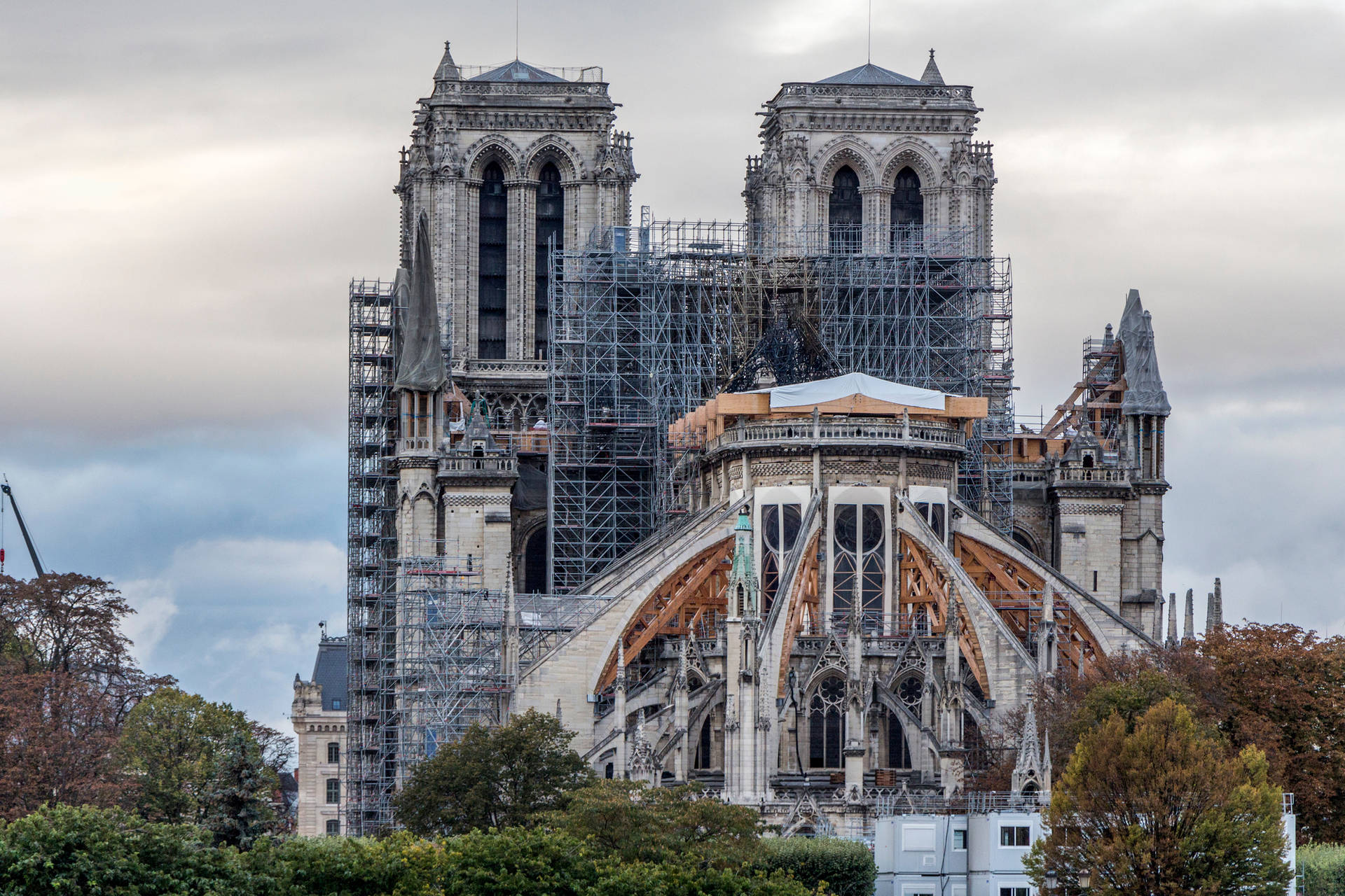 Notre Dame From The Back Background