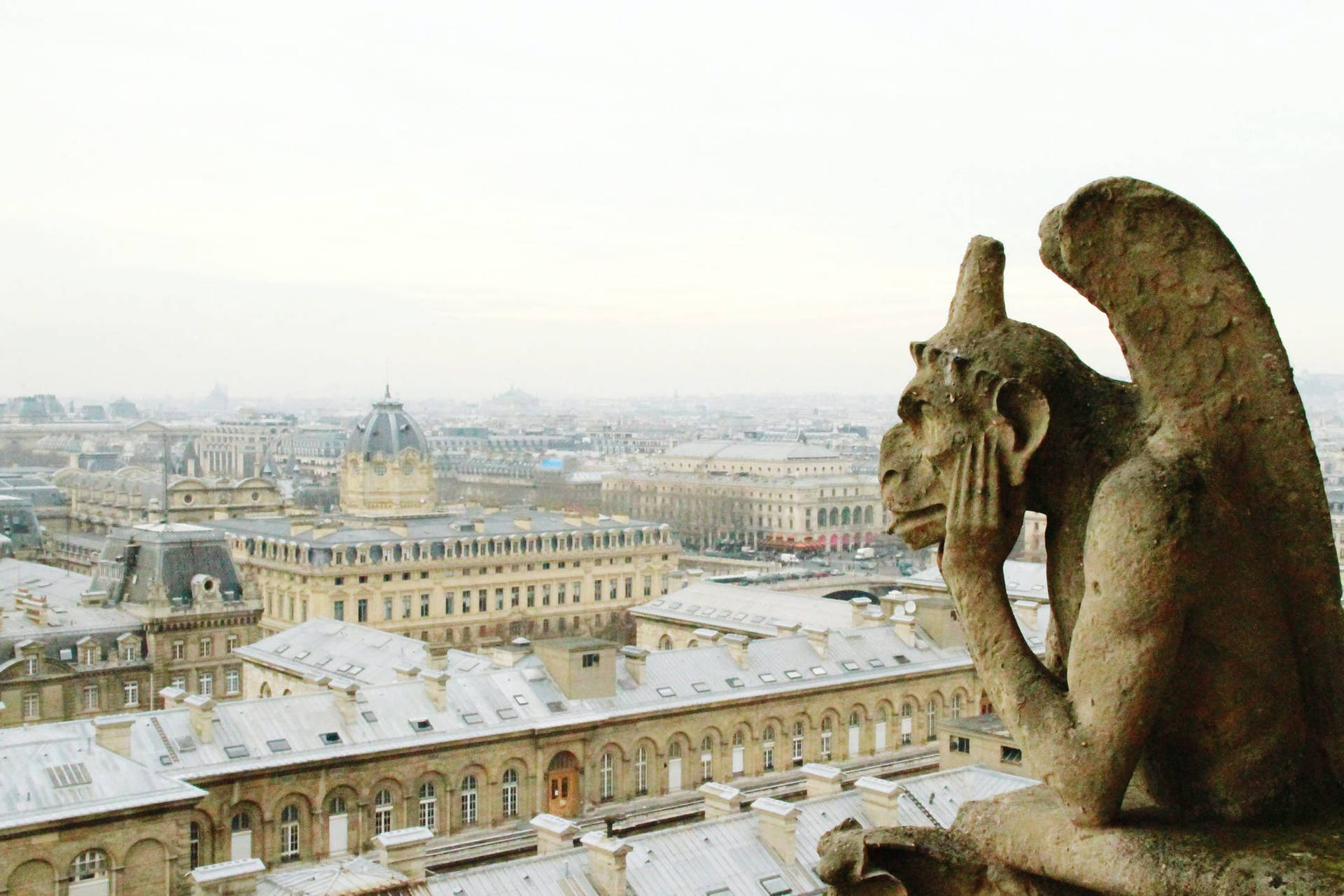 Notre Dame Gargoyle Background