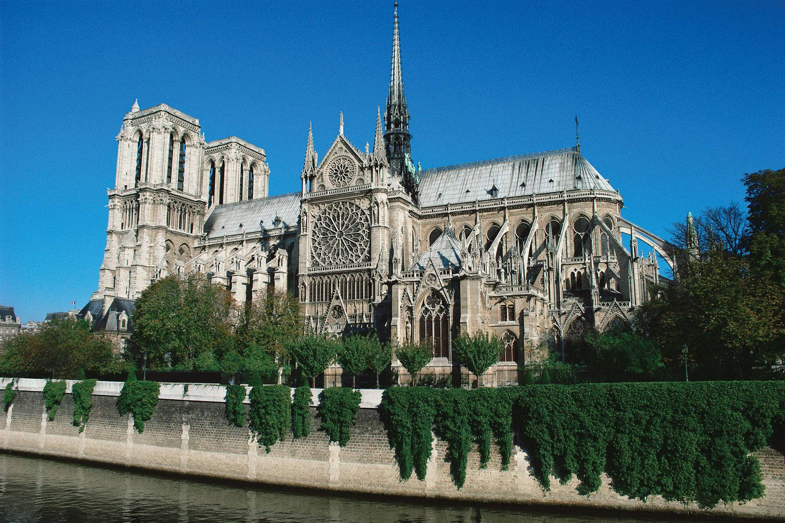 Notre Dame South Rose Window Side Background