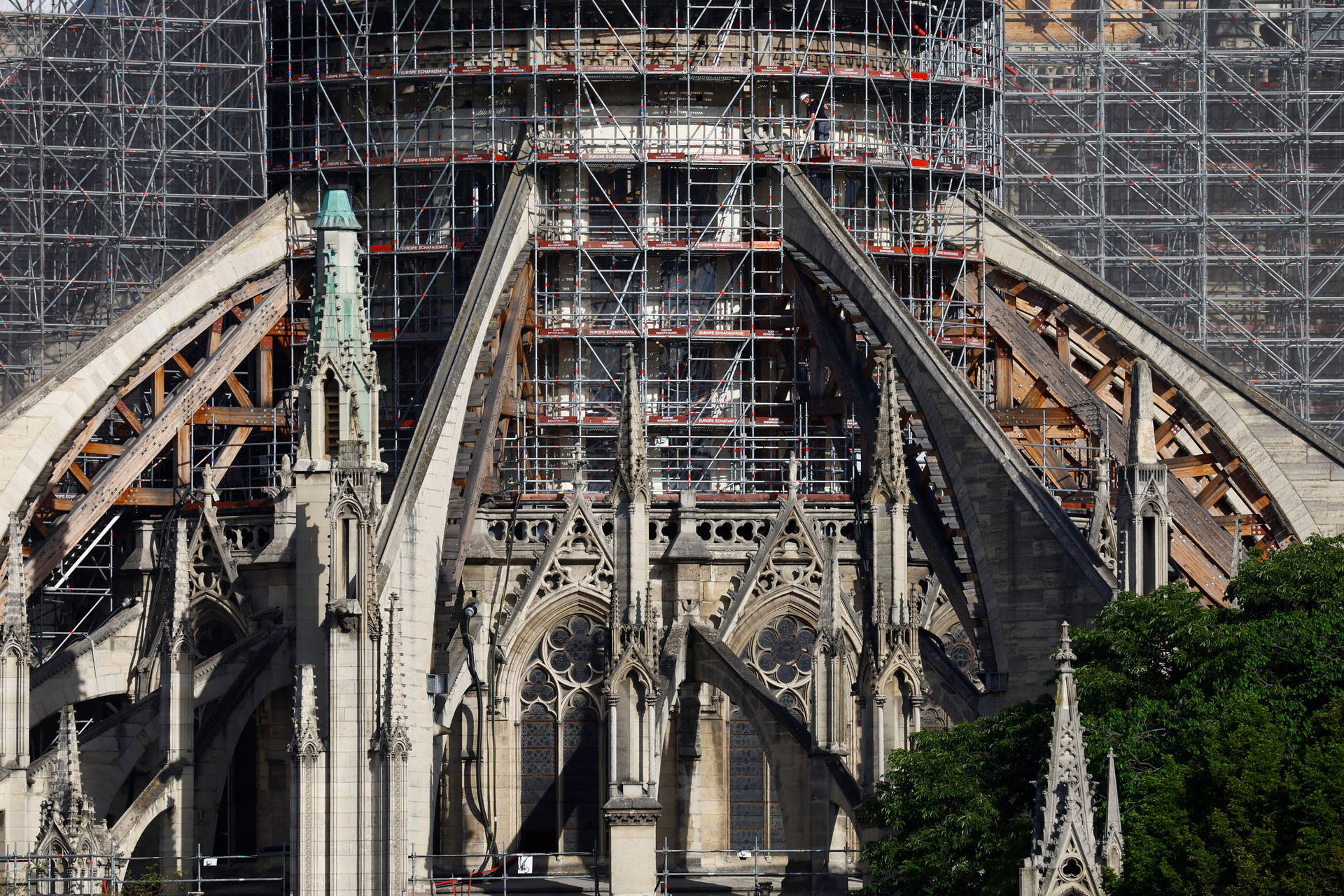 Notre Dame Under Construction