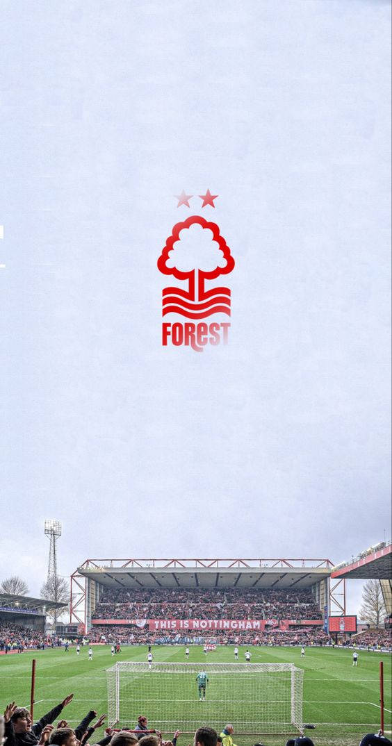 Nottingham Forest Fc Field Background