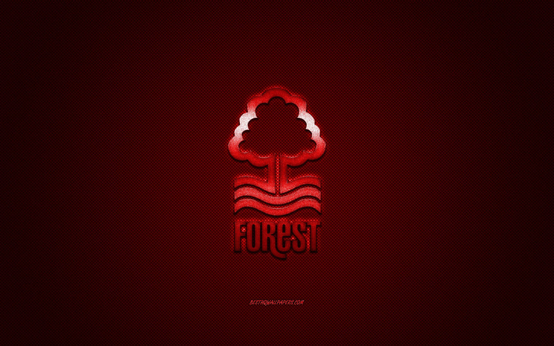 Nottingham Forest Fc Glossy