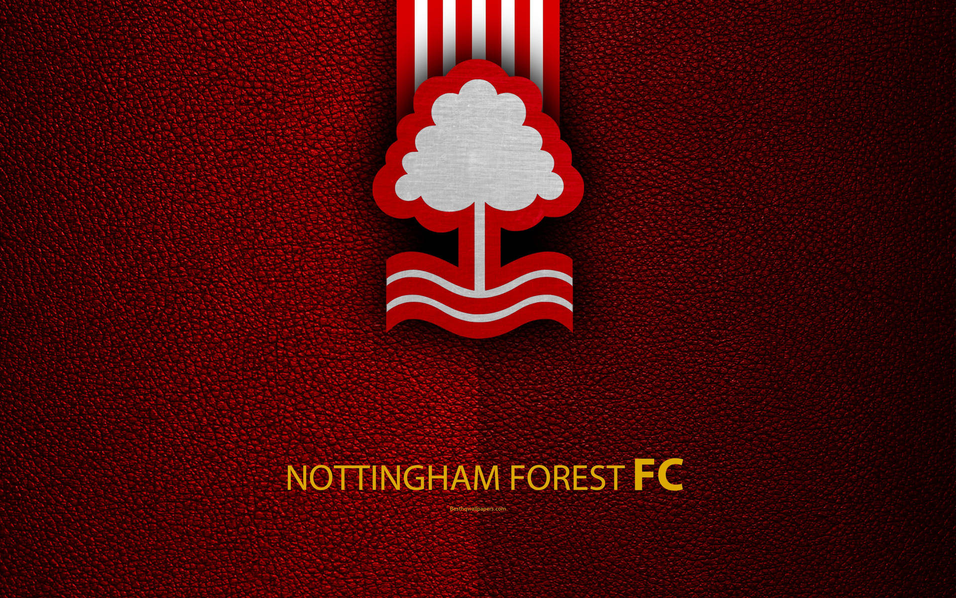 Nottingham Forest Fc Red Gradient