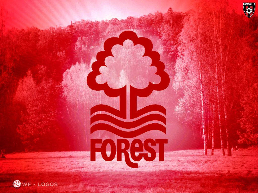 Nottingham Forest Fc Woods