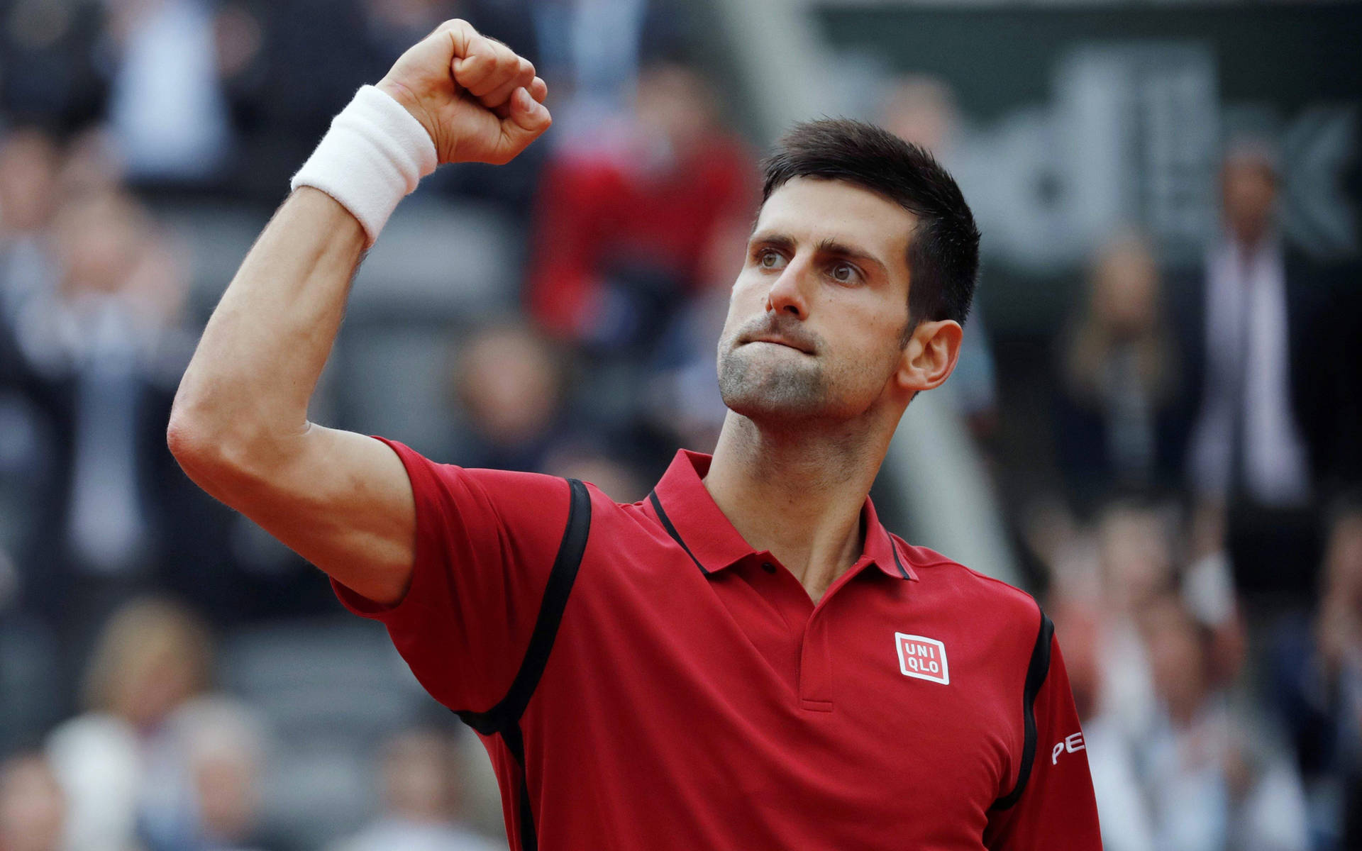 Novak Djokovic 2016 French Open Background