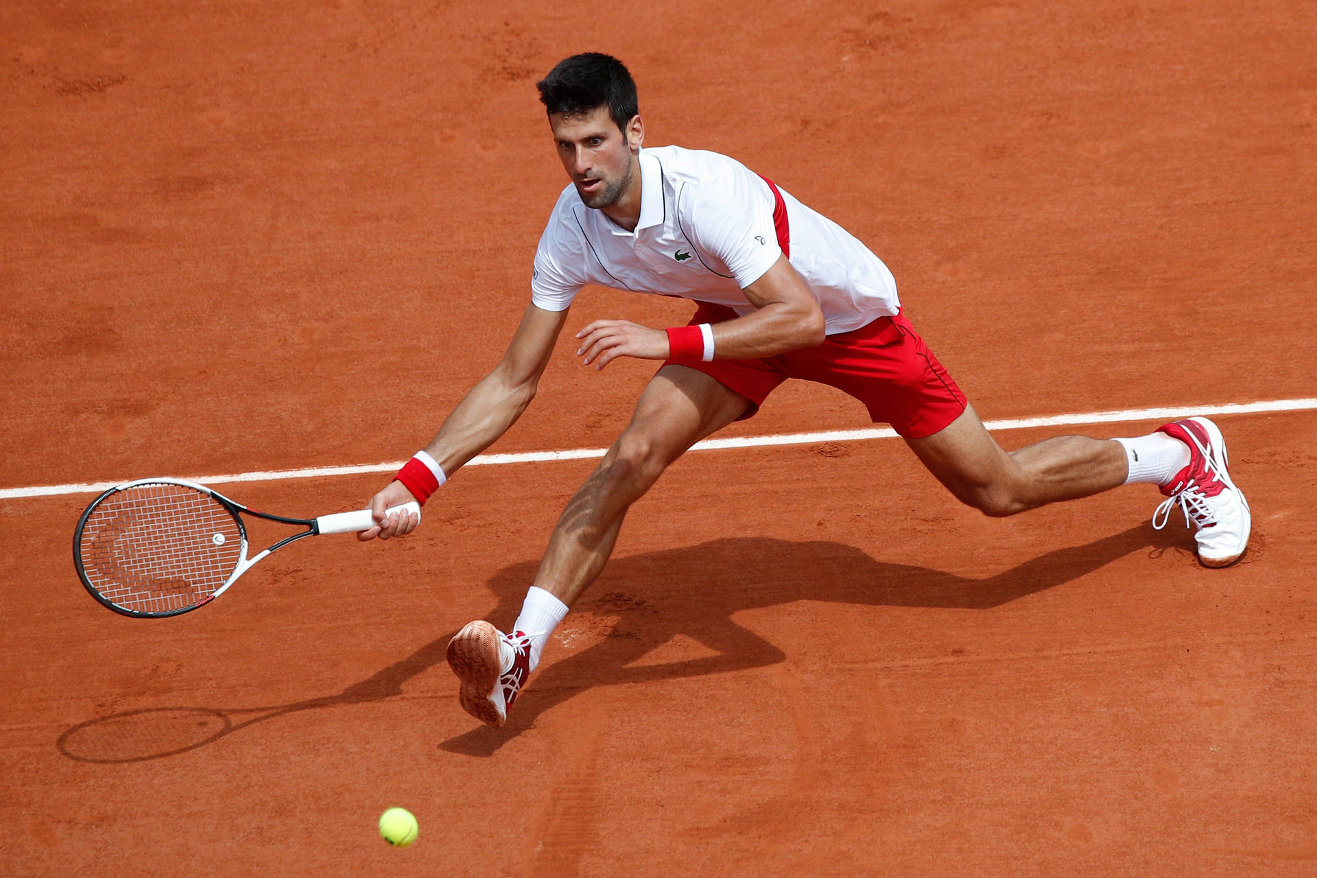 Novak Djokovic French Open Highlights