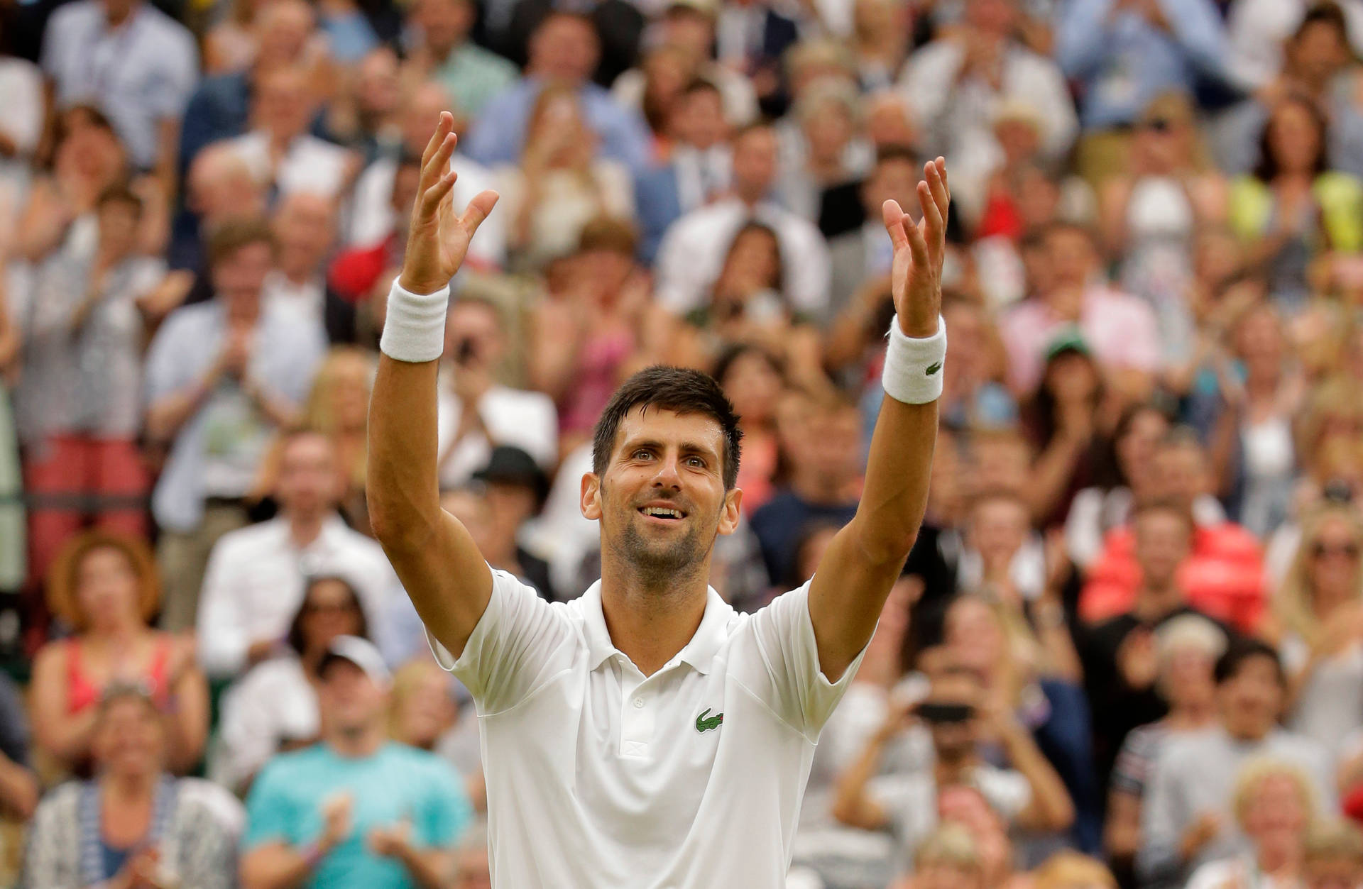 Novak Djokovic Wimbledon 2021 Background