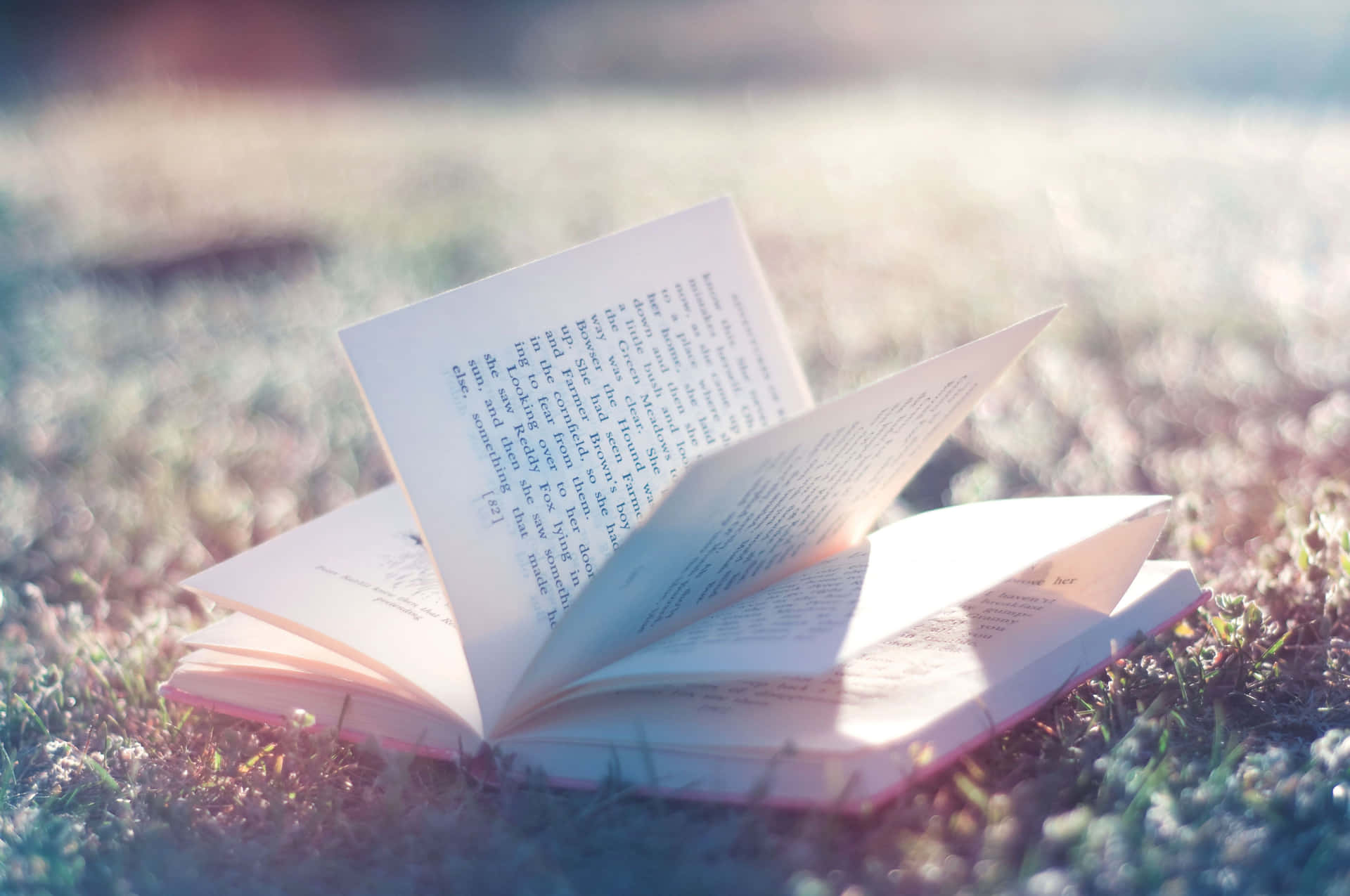 Novel On The Grass Background