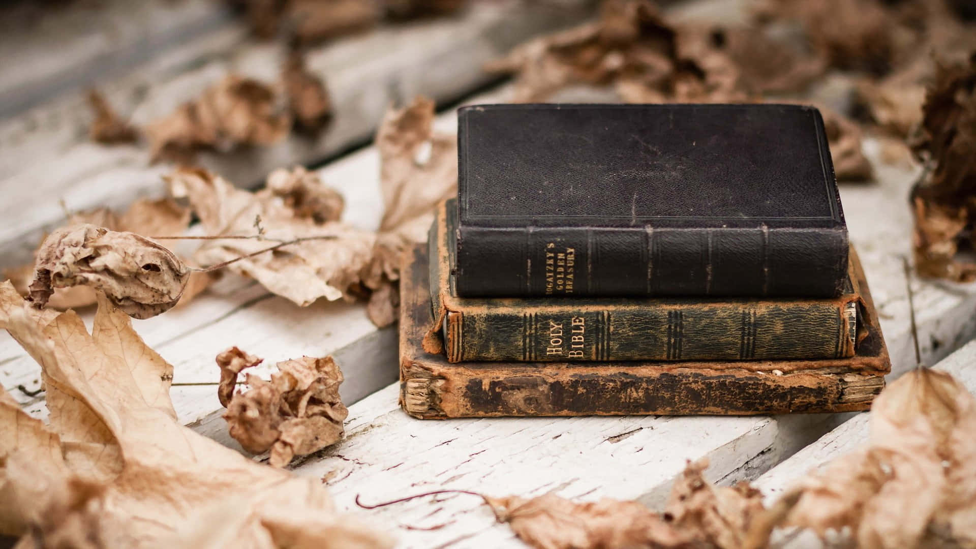 Novel With Dry Leaves Background