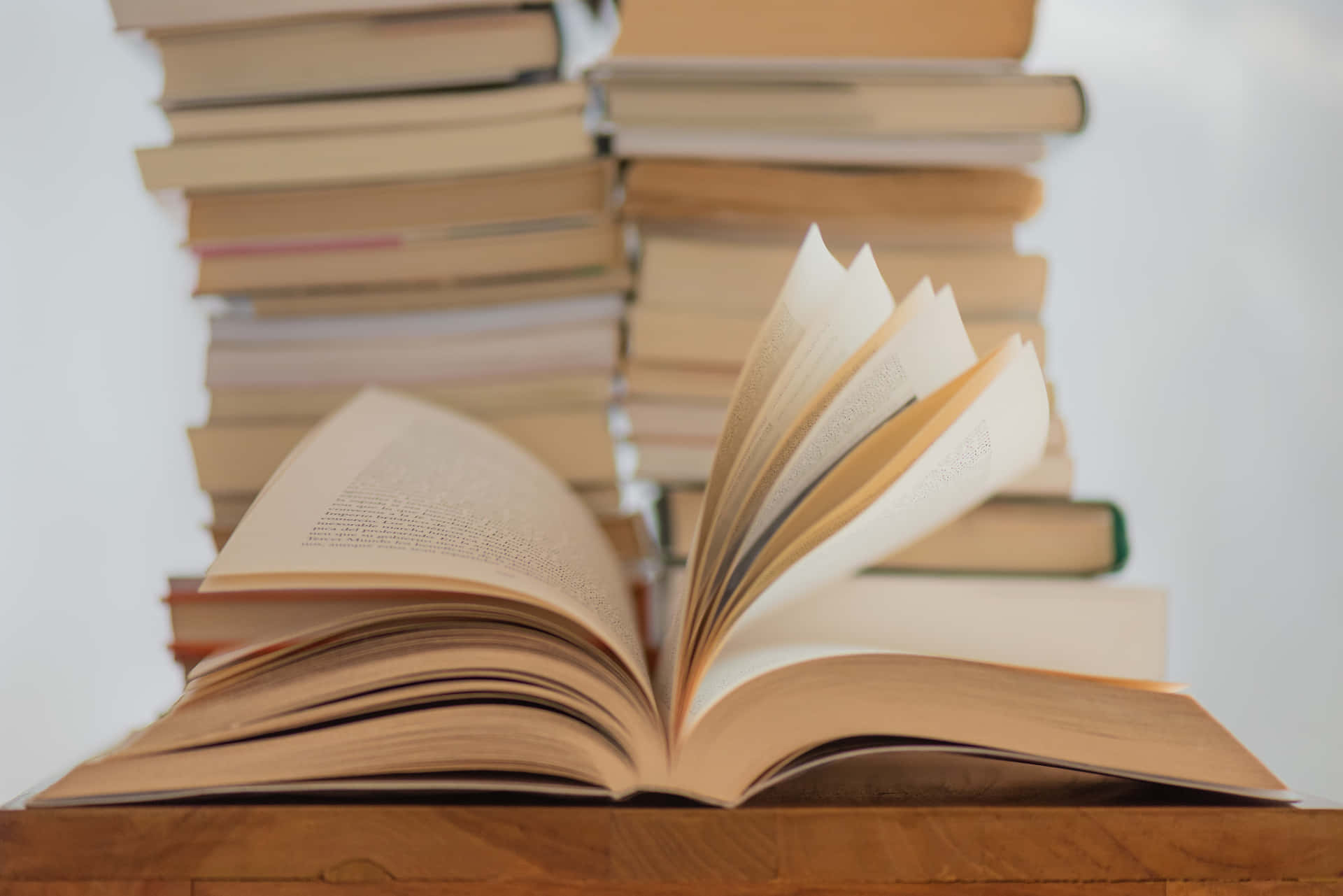 Novels By Educated Writers Background