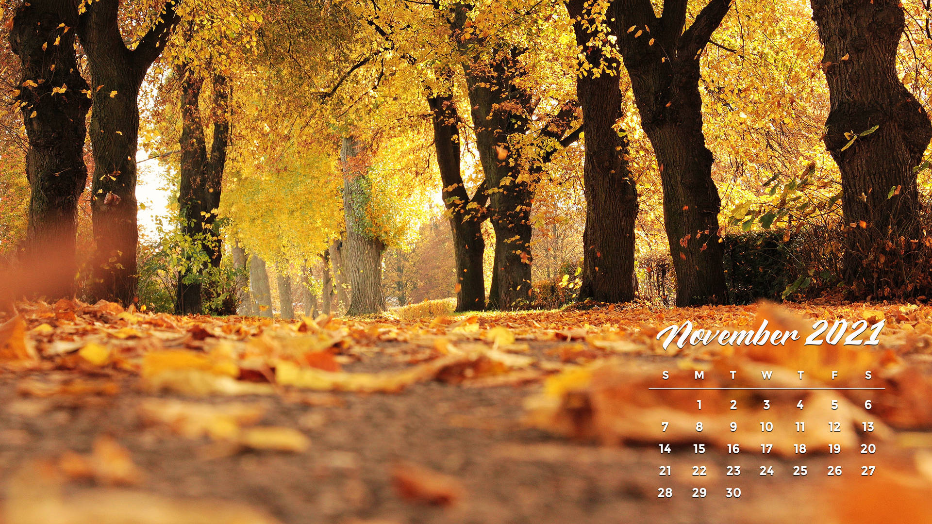 November 2021 Calendar Falling Leaves Background