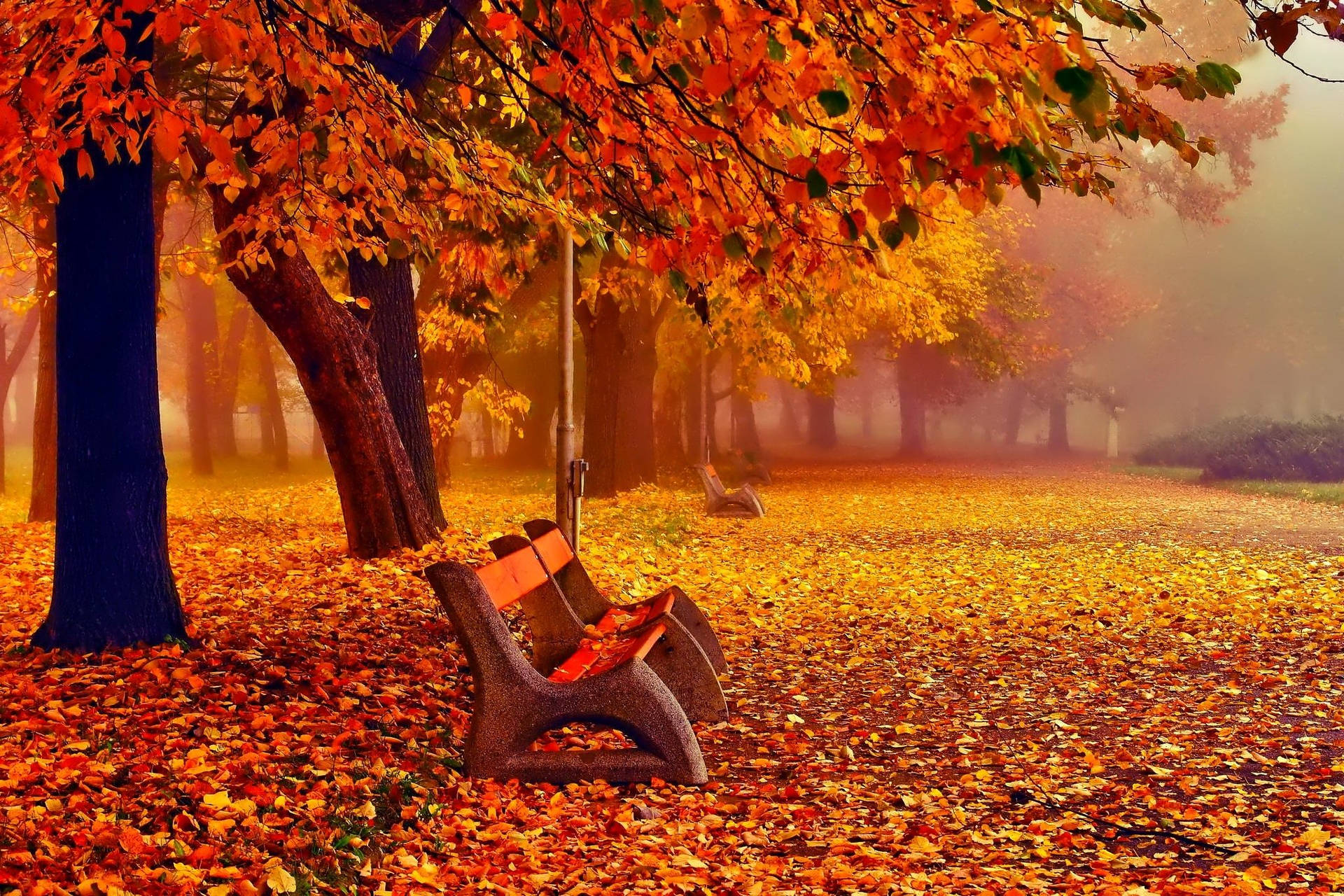 November At Its Best - Enjoying The Warm Autumn Breeze Background
