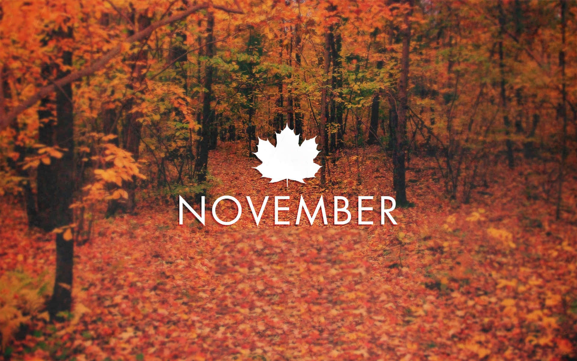 November Desktop Autumn Season Background