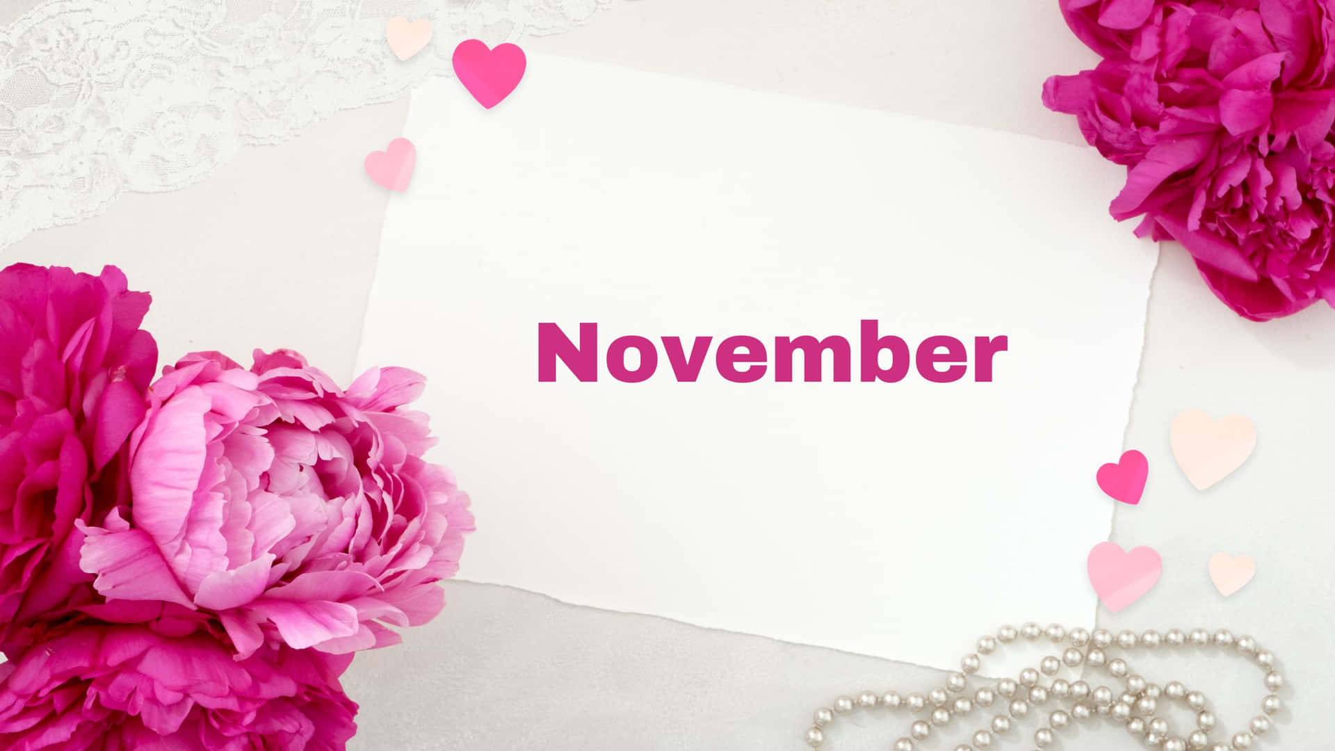 November Desktop Pink Flowers Background