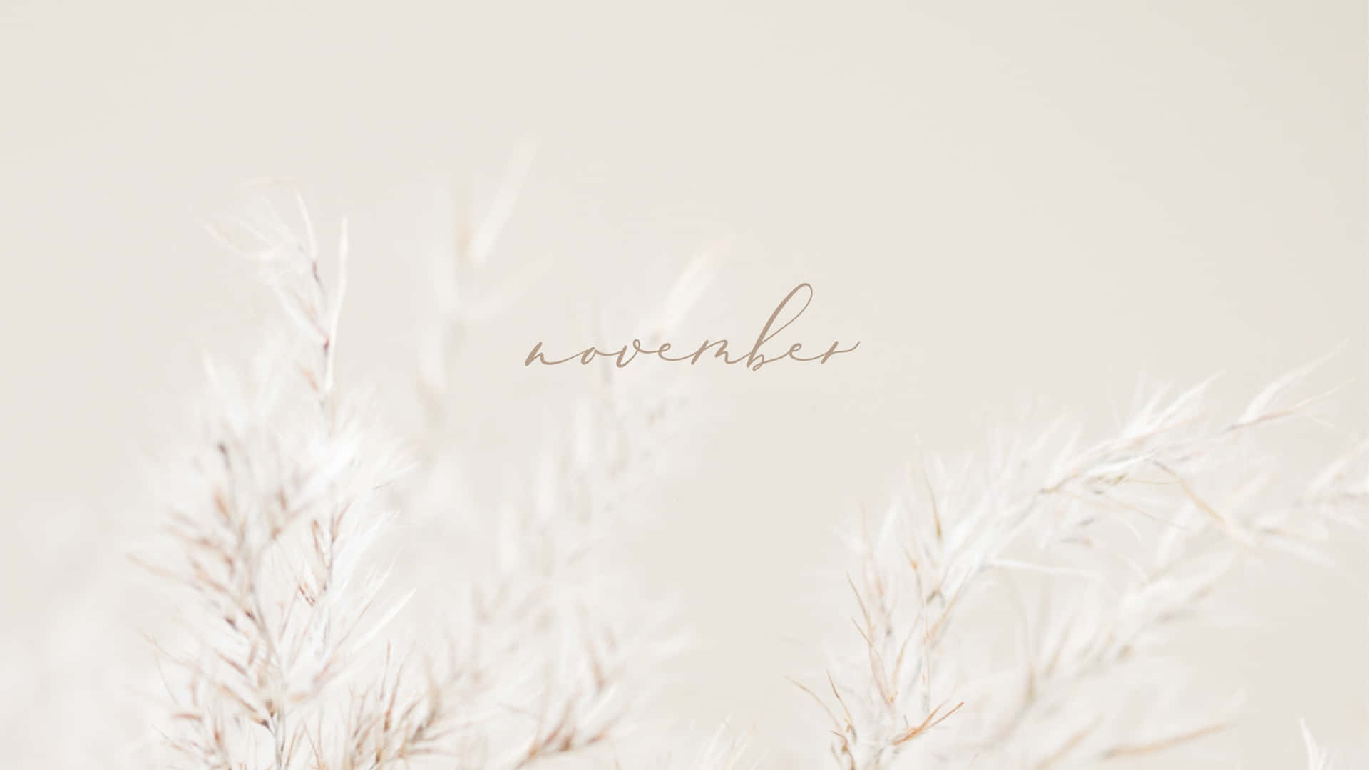 November Desktop White Minimalist Background