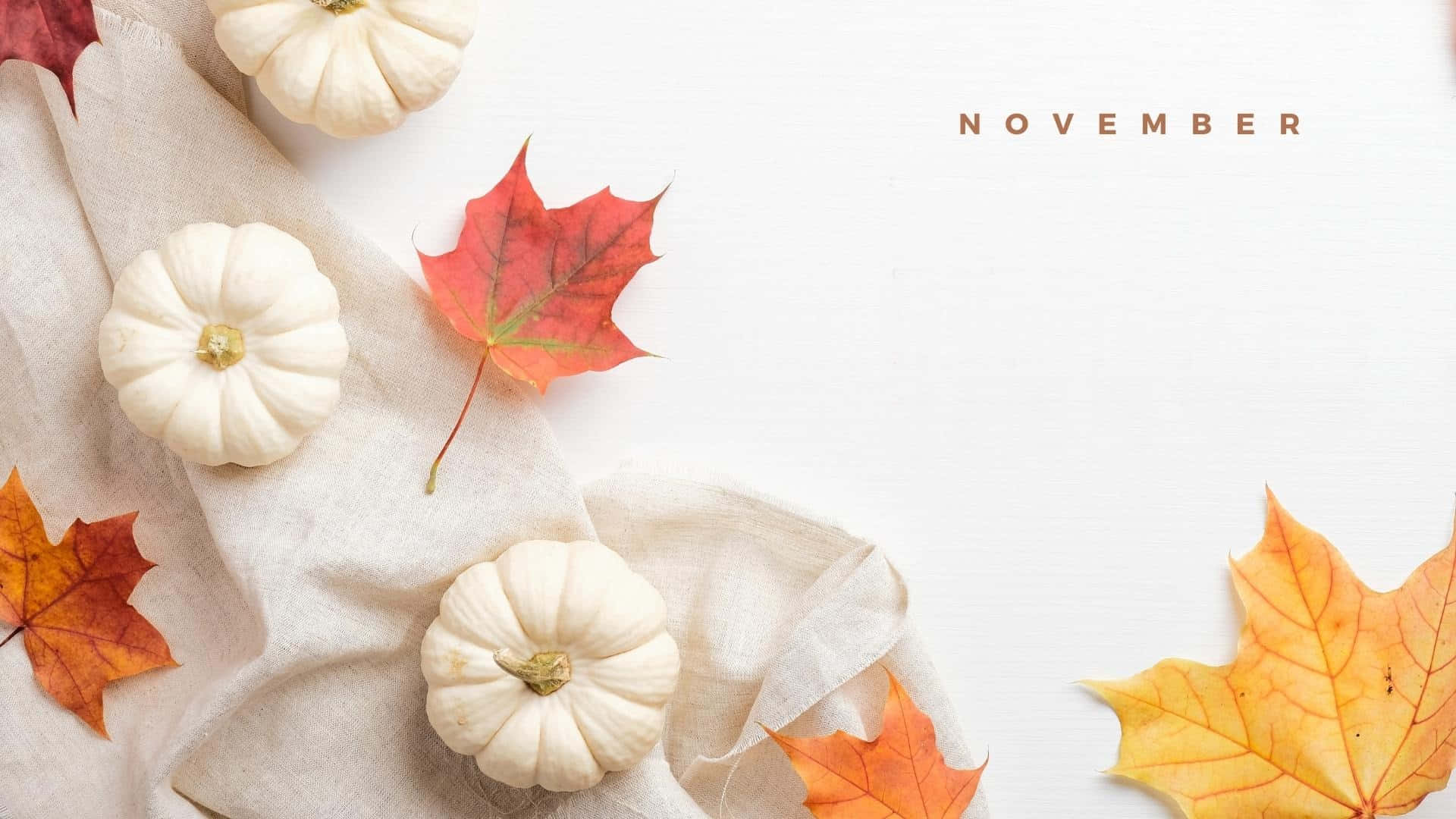 November Desktop White Pumpkin Background