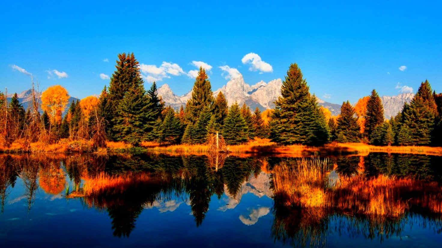 November Fall Forest And Lake Background